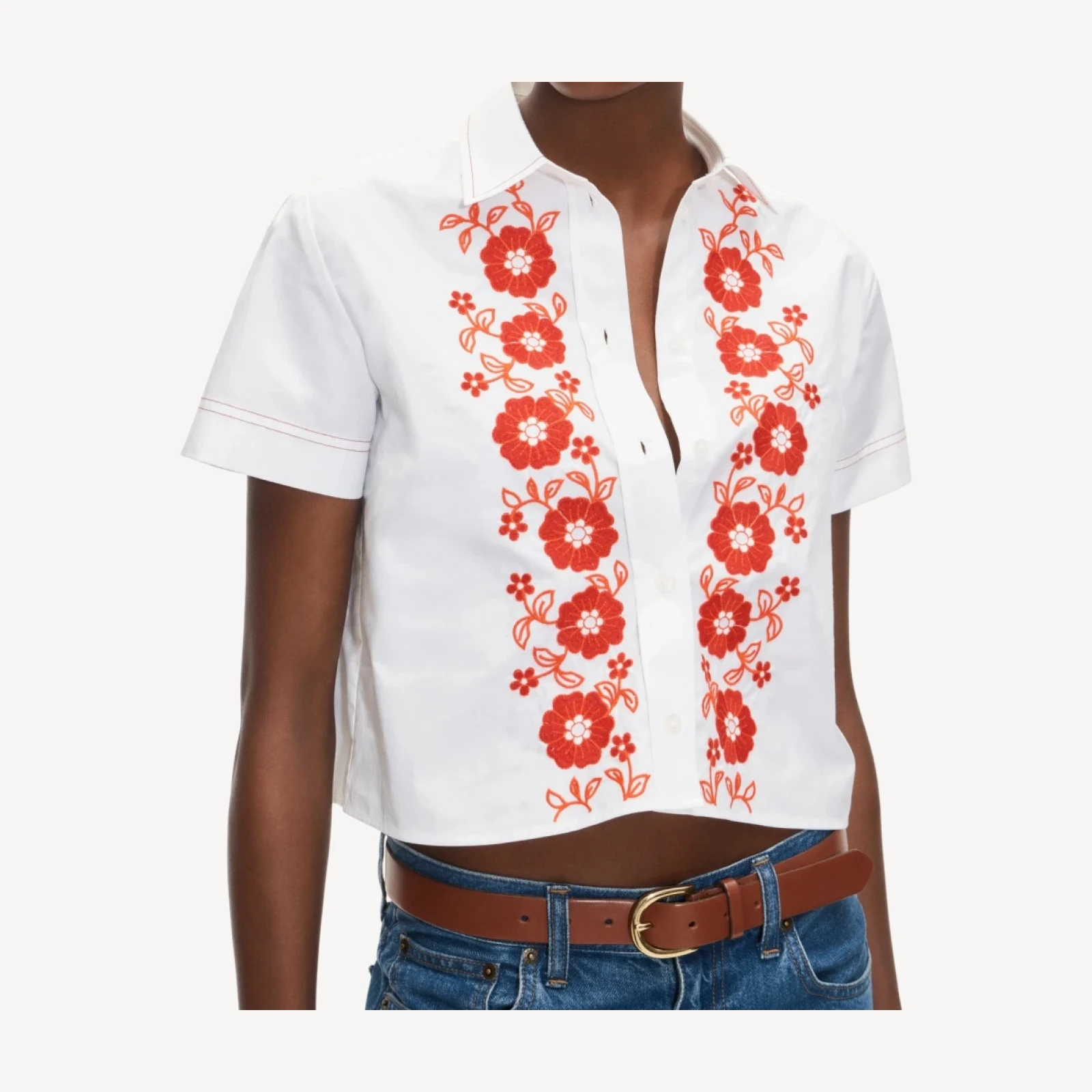 Gamine button-up shirt in embroidered floral
