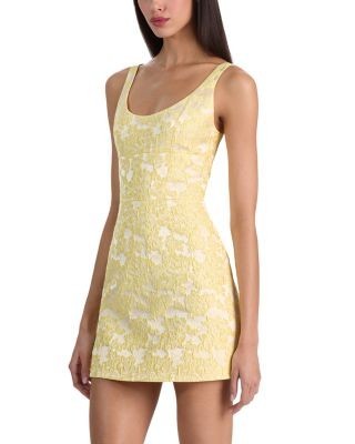 Alice and Olivia Charlotte Mini Dress