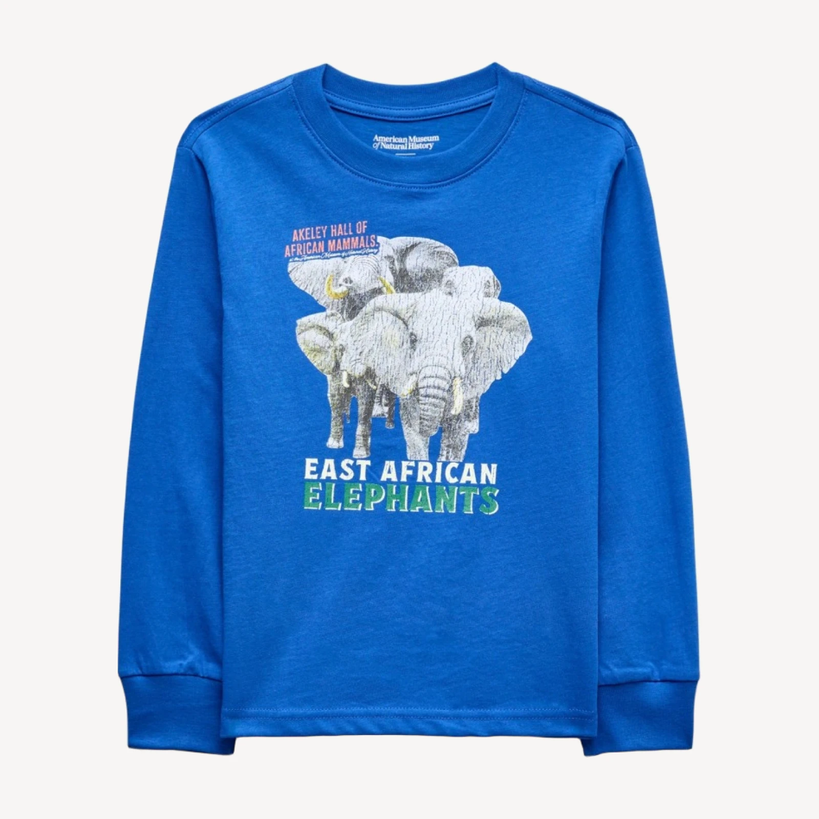American Museum of Natural History for J.Crew kids' "East African Elephants" graphic T-shirt