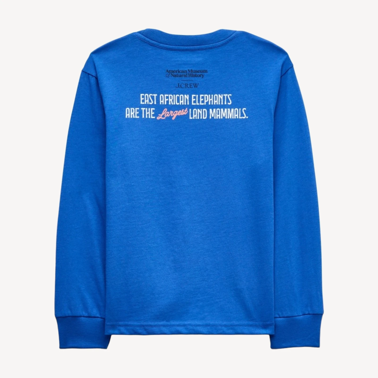 American Museum of Natural History for J.Crew kids' "East African Elephants" graphic T-shirt