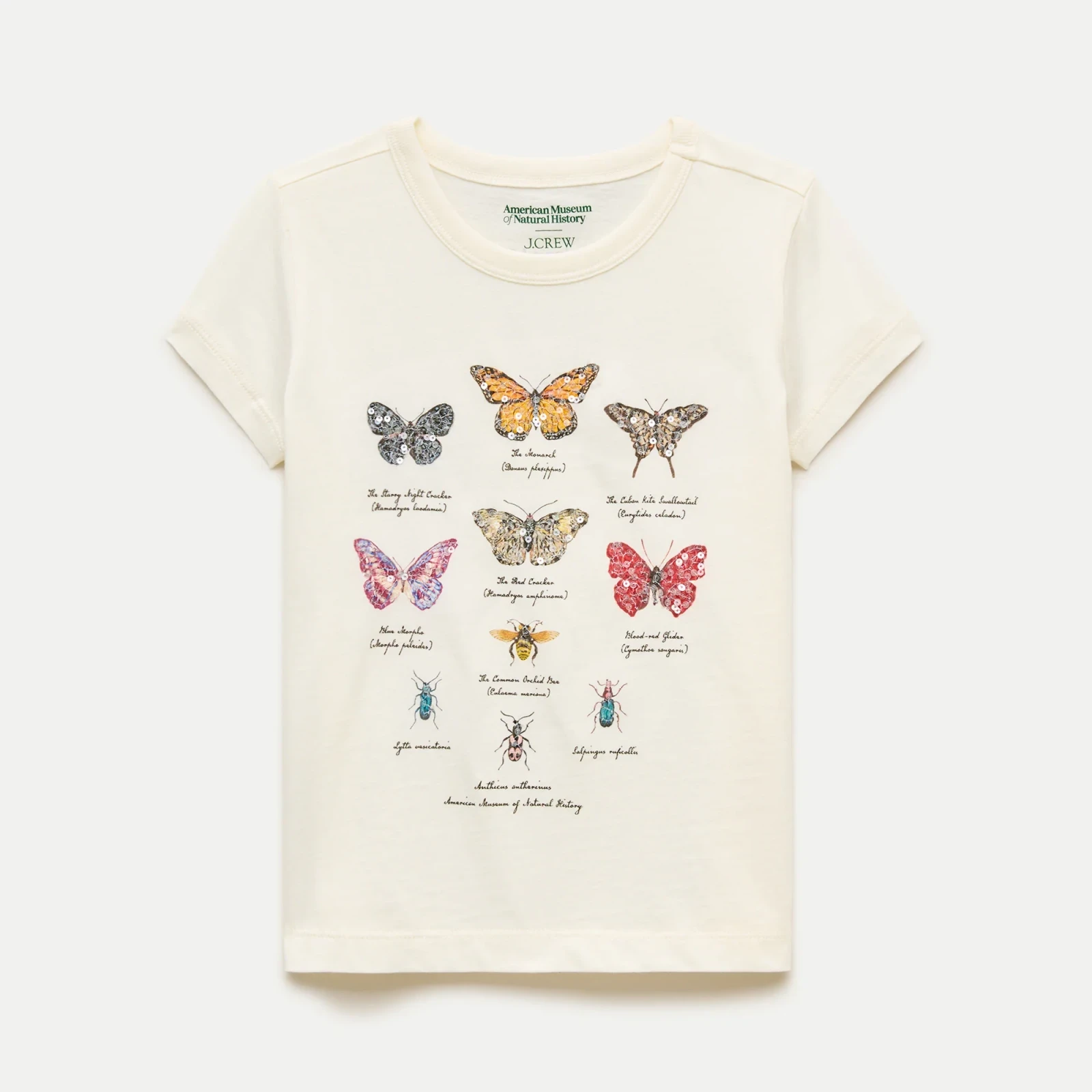 American Museum of Natural History for J.Crew kids' butterfly graphic T-shirt