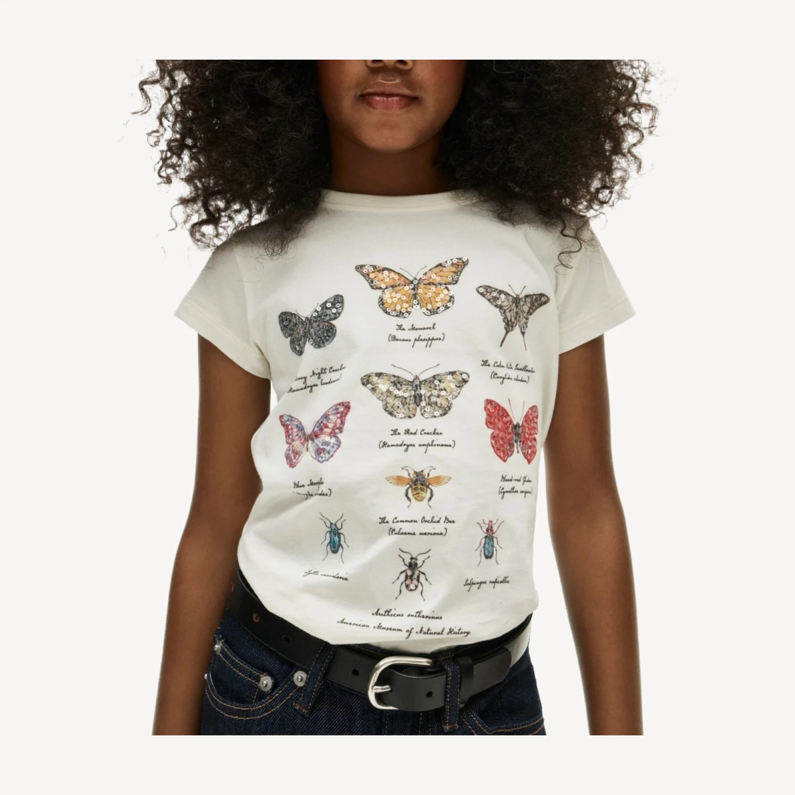 American Museum of Natural History for J.Crew kids' butterfly graphic T-shirt