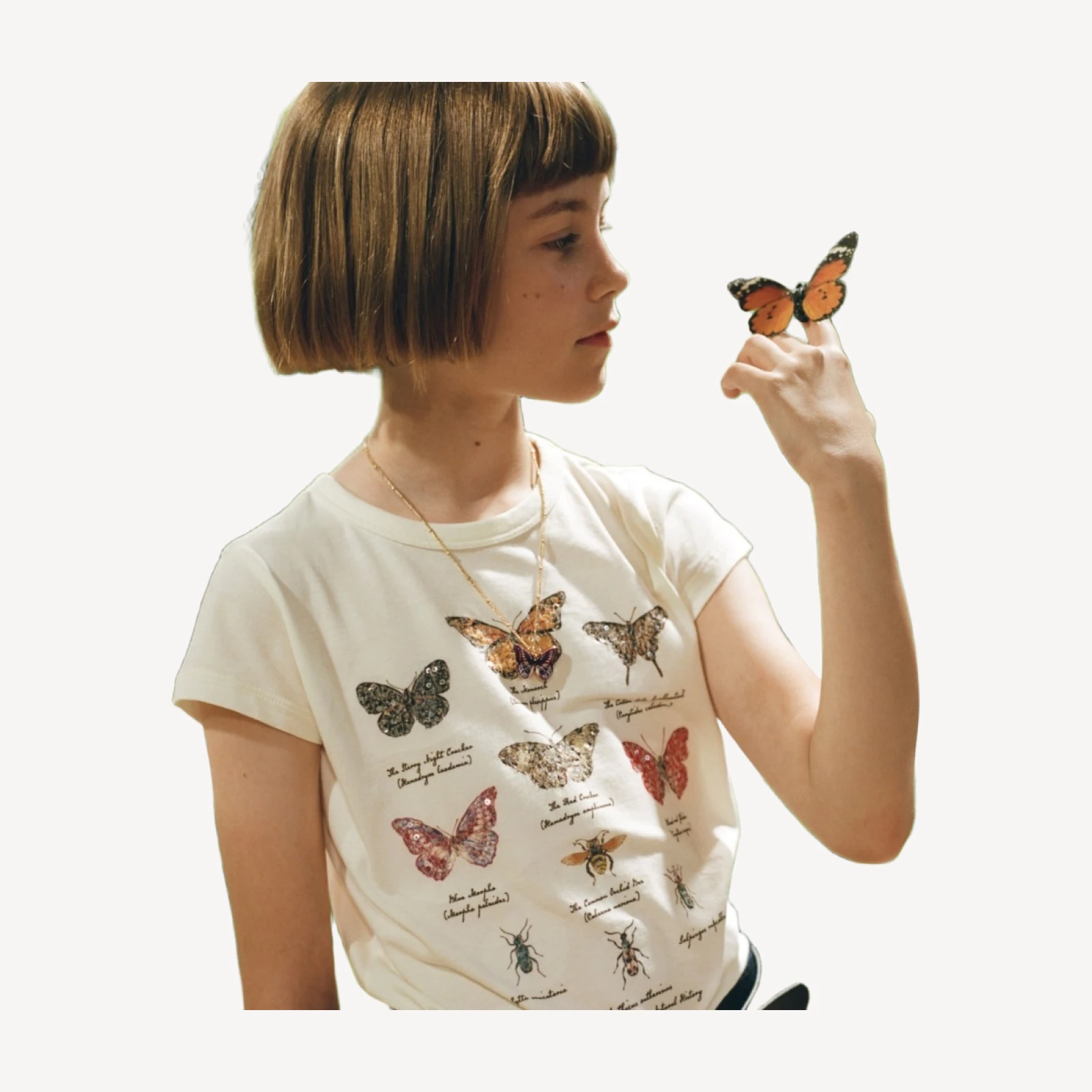 American Museum of Natural History for J.Crew kids' butterfly graphic T-shirt