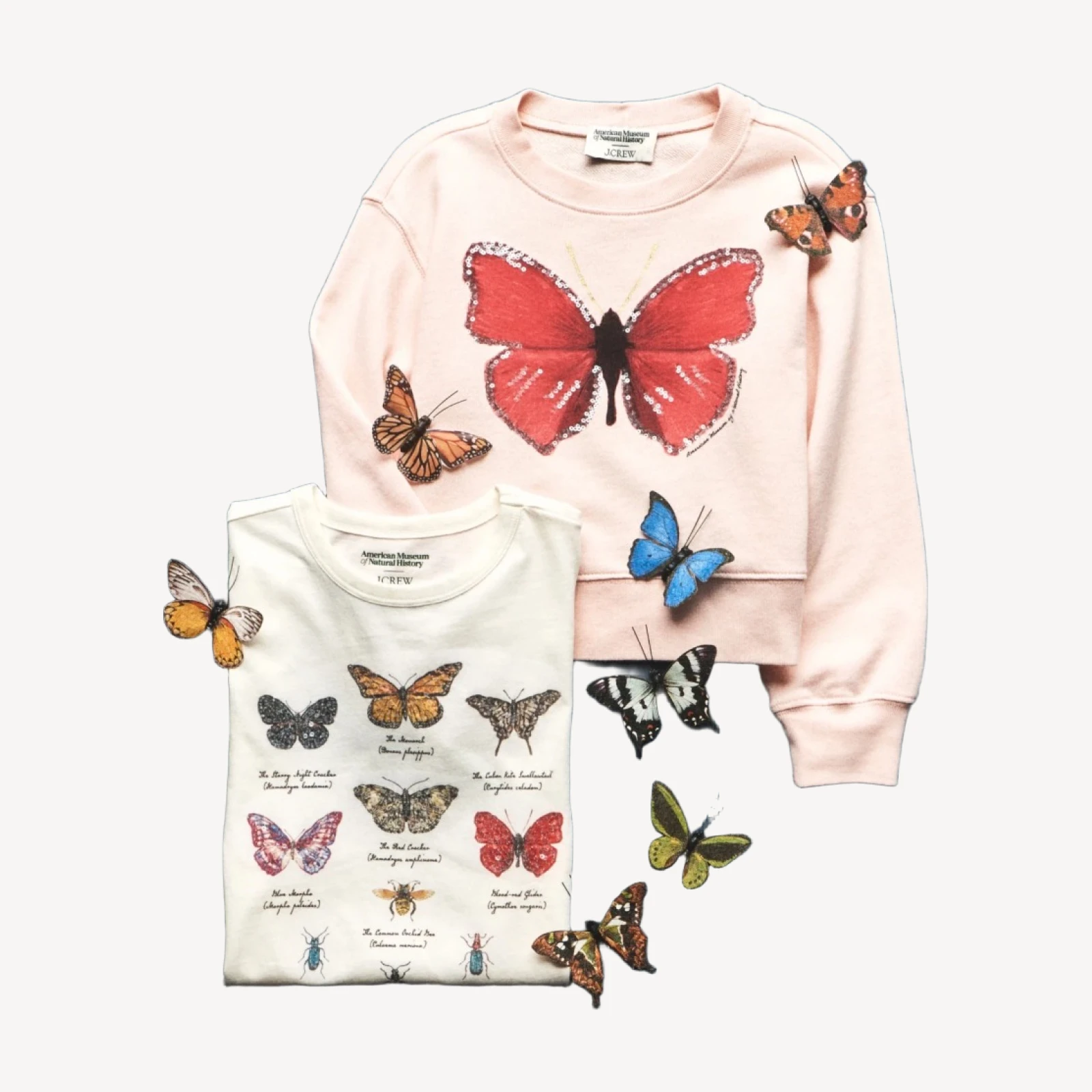 American Museum of Natural History for J.Crew kids' butterfly graphic T-shirt