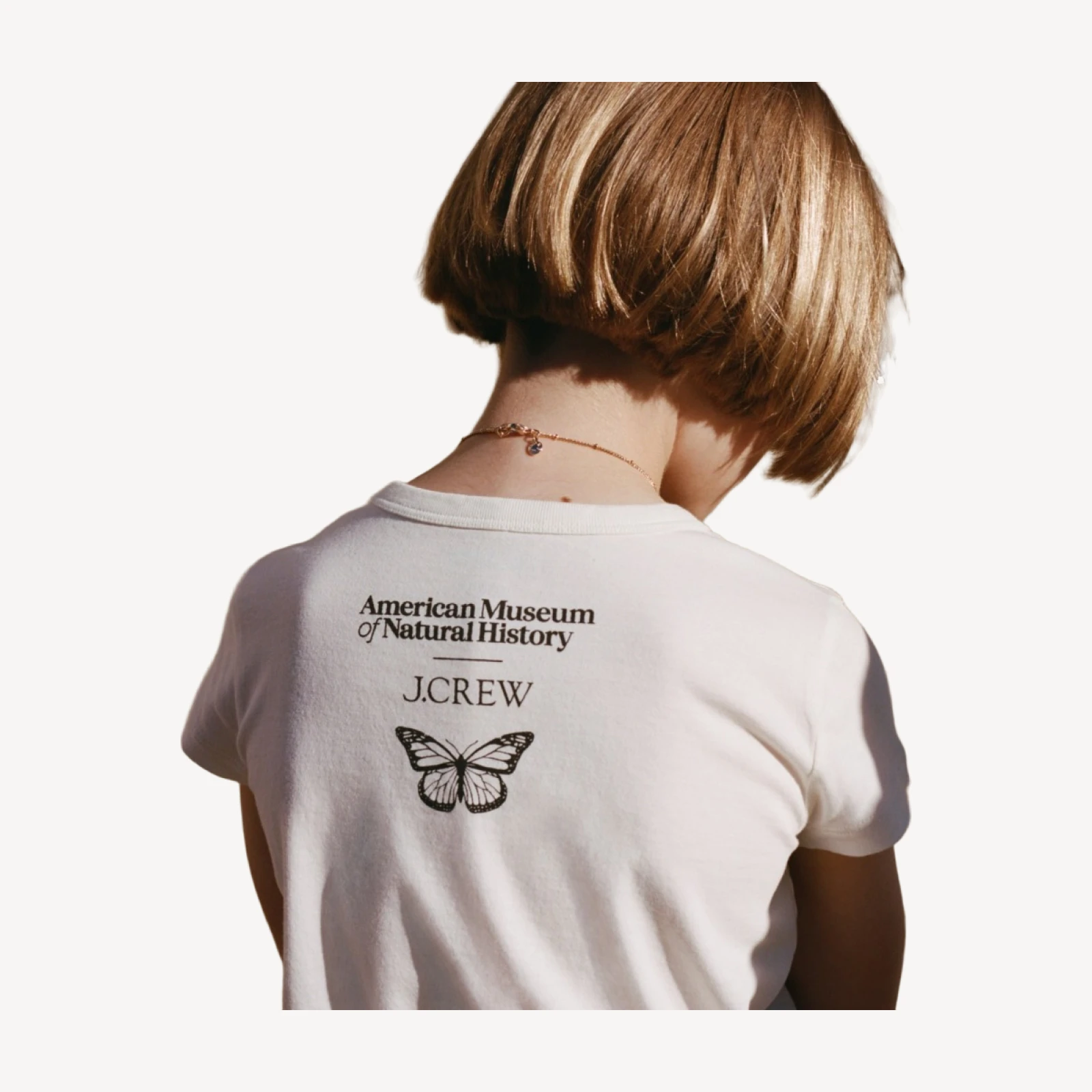 American Museum of Natural History for J.Crew kids' butterfly graphic T-shirt