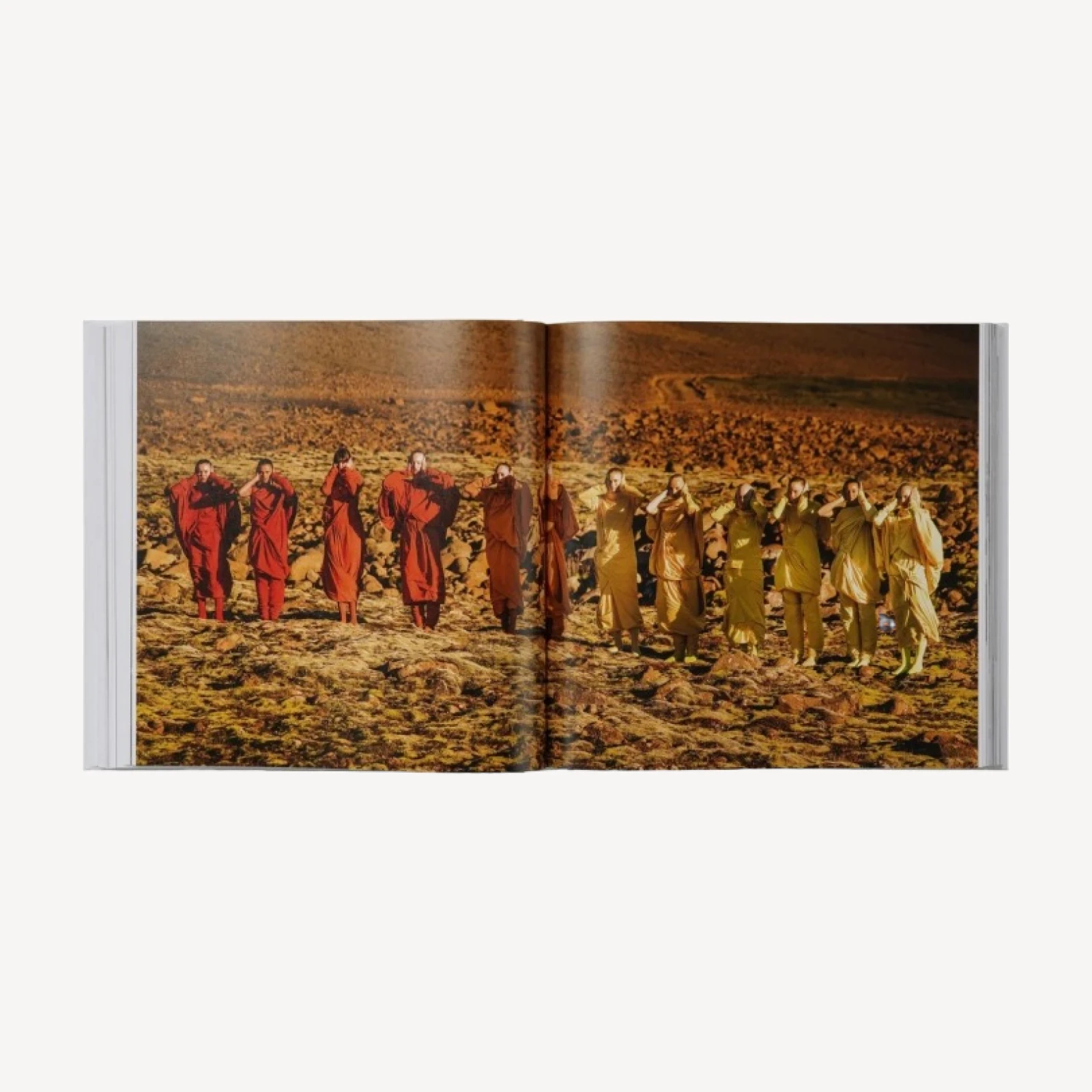ISSEY MIYAKE