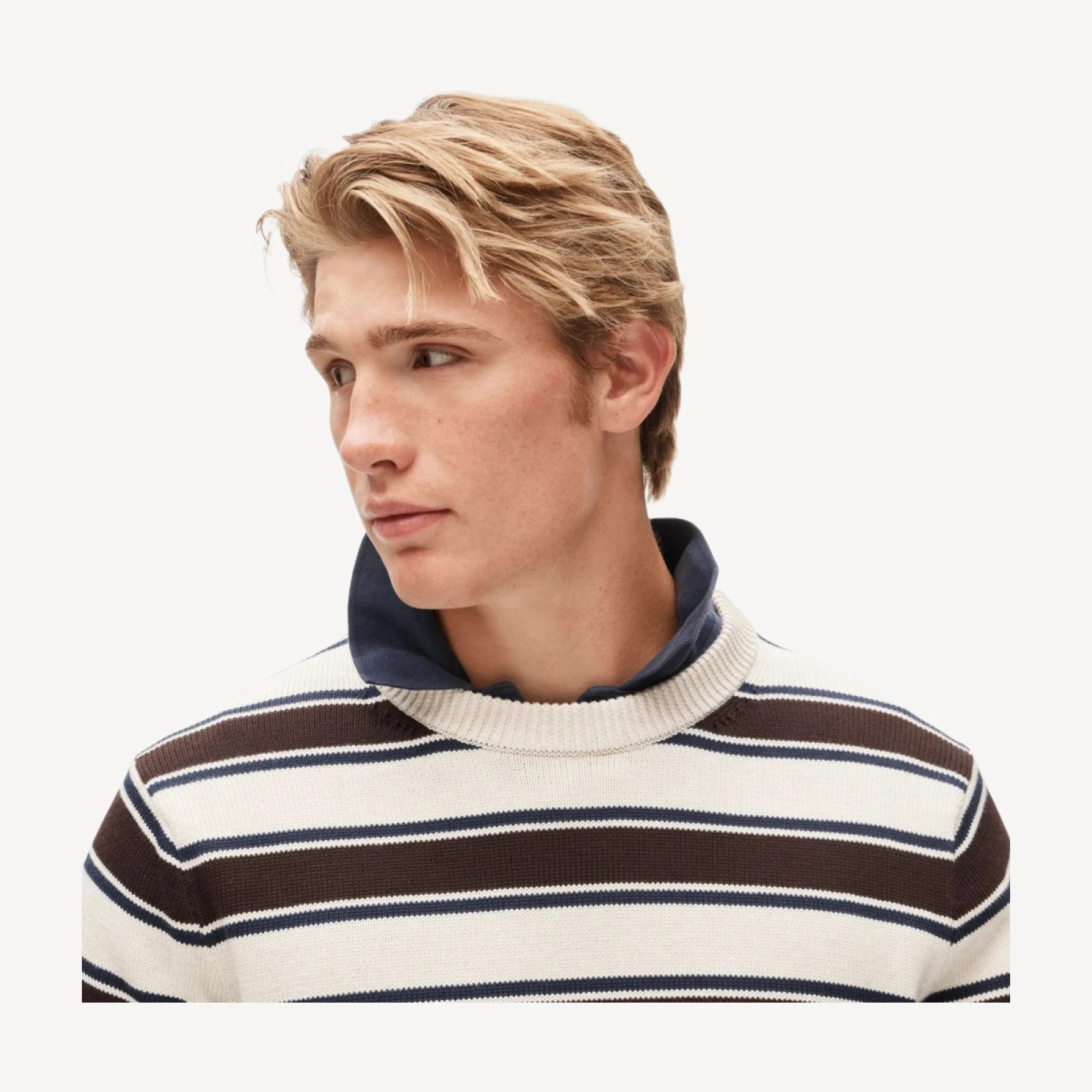 Heritage cotton sweater in stripe