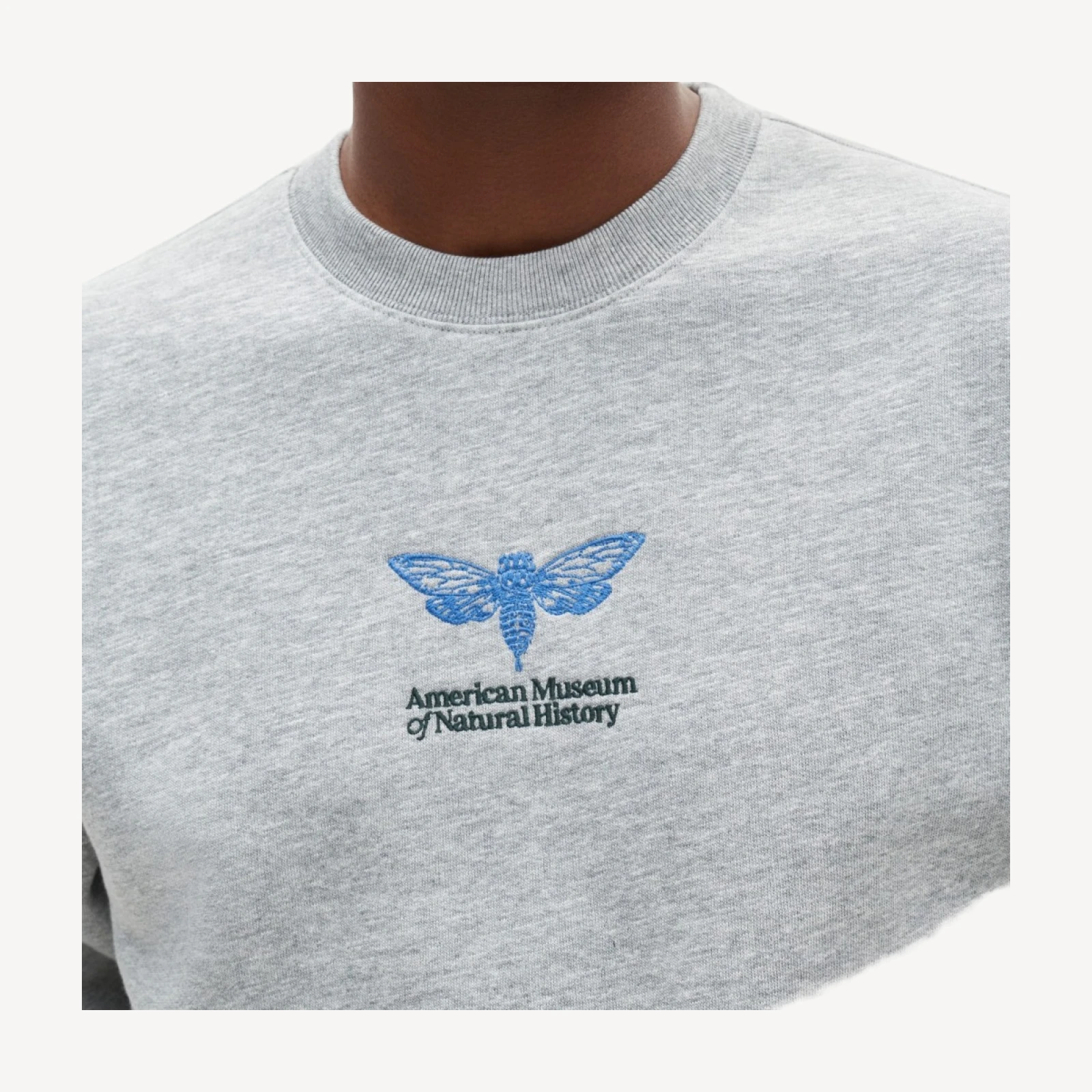 American Museum of Natural History for J.Crew graphic '83 fleece sweatshirt