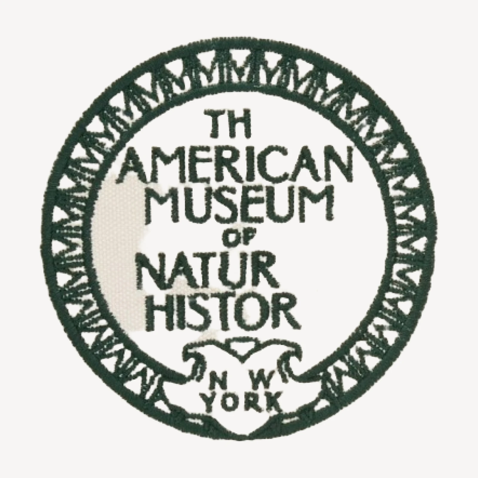 American Museum of Natural History for J.Crew medium Seaport tote bag