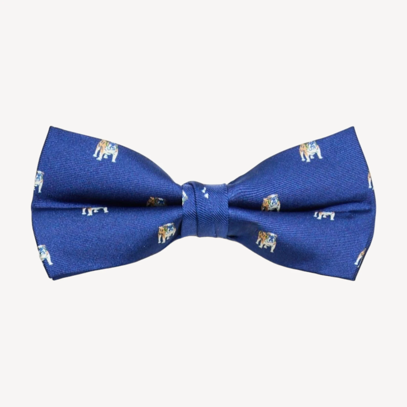 Boys' silk critter bow tie