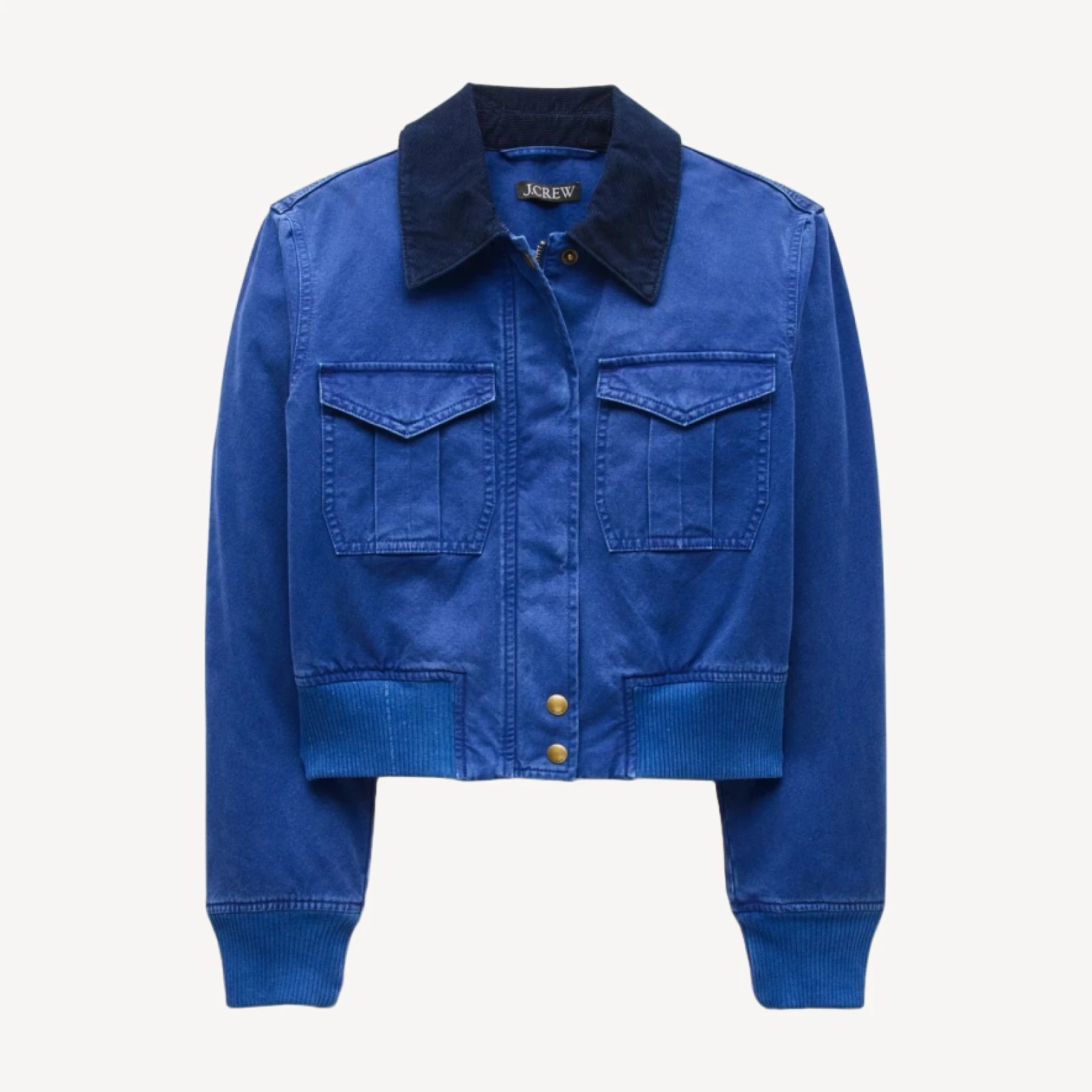 Bomber jacket in cotton canvas