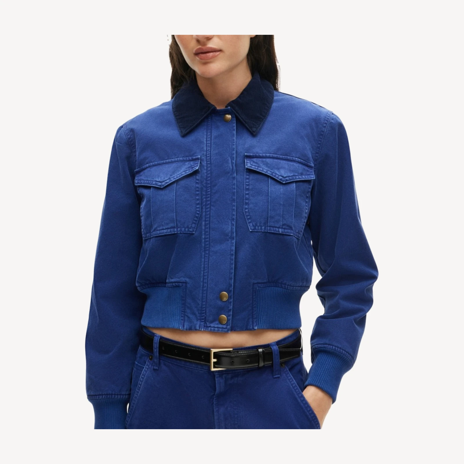 Bomber jacket in cotton canvas
