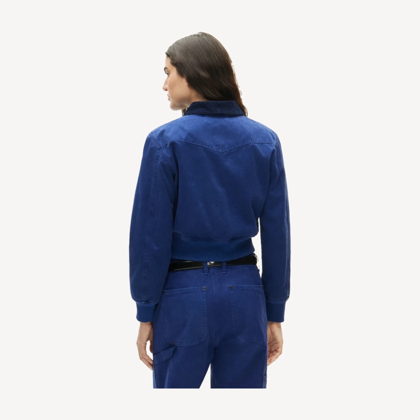 Bomber jacket in cotton canvas