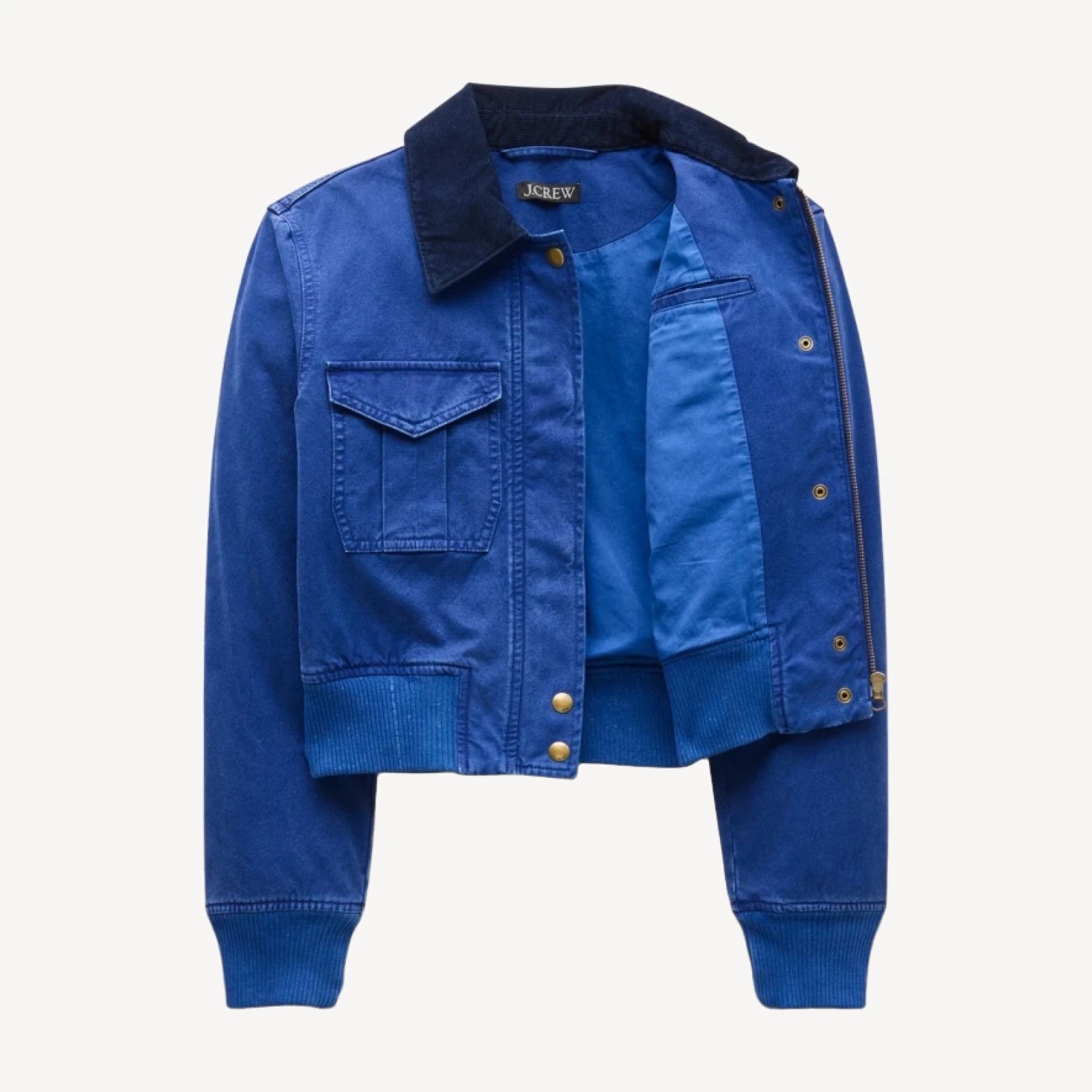 Bomber jacket in cotton canvas