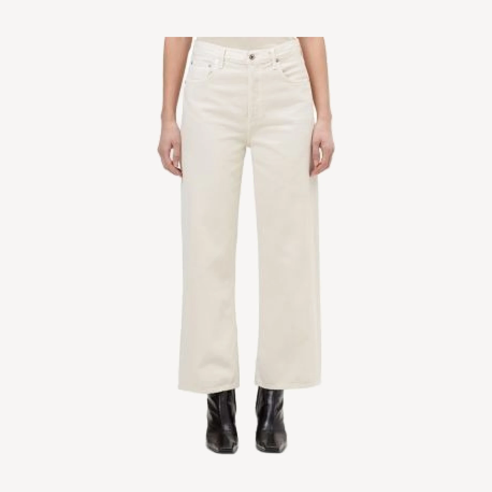 Agolde Ren High Rise Wide Leg Ankle Jeans in Brown Rice