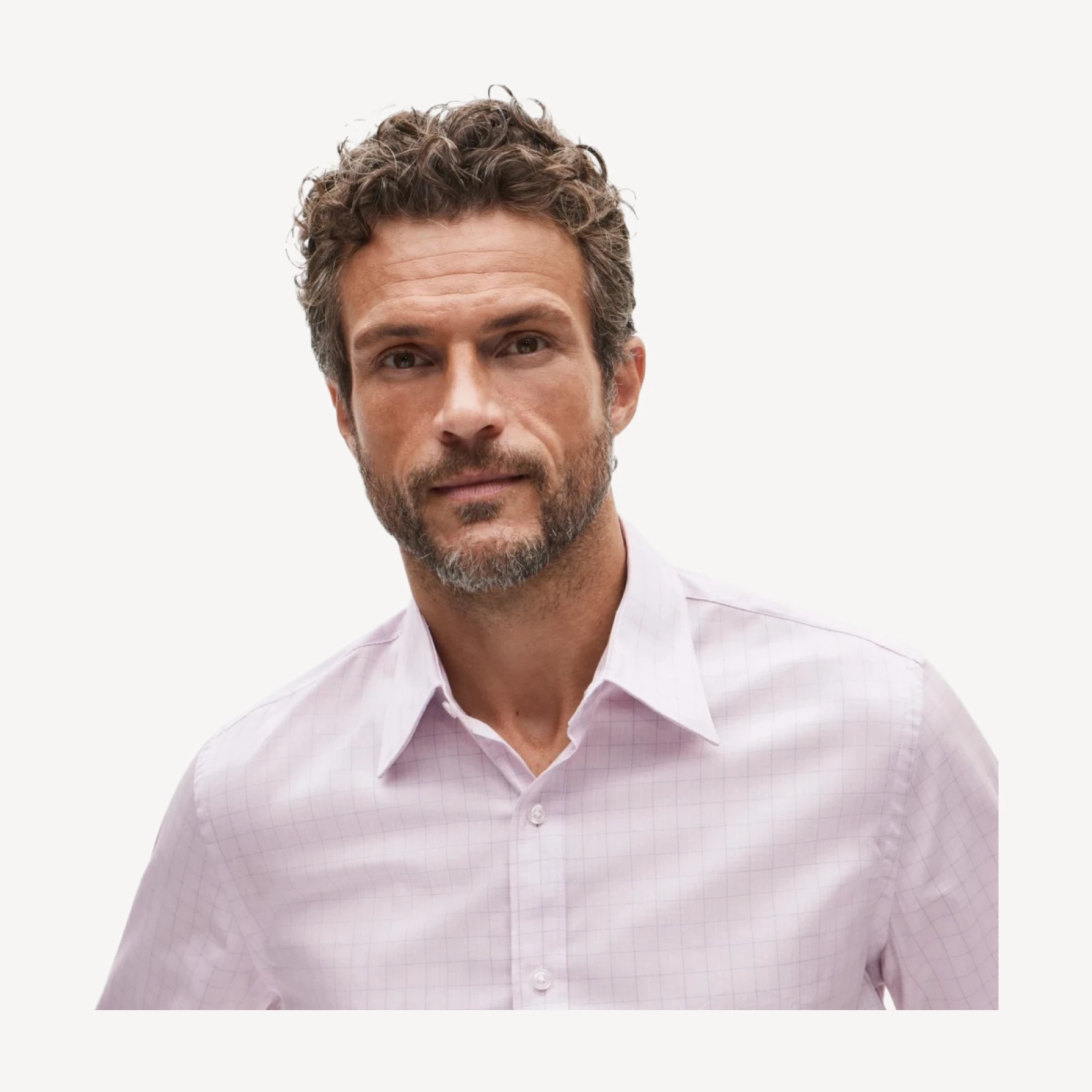 Ludlow Premium cotton dress shirt