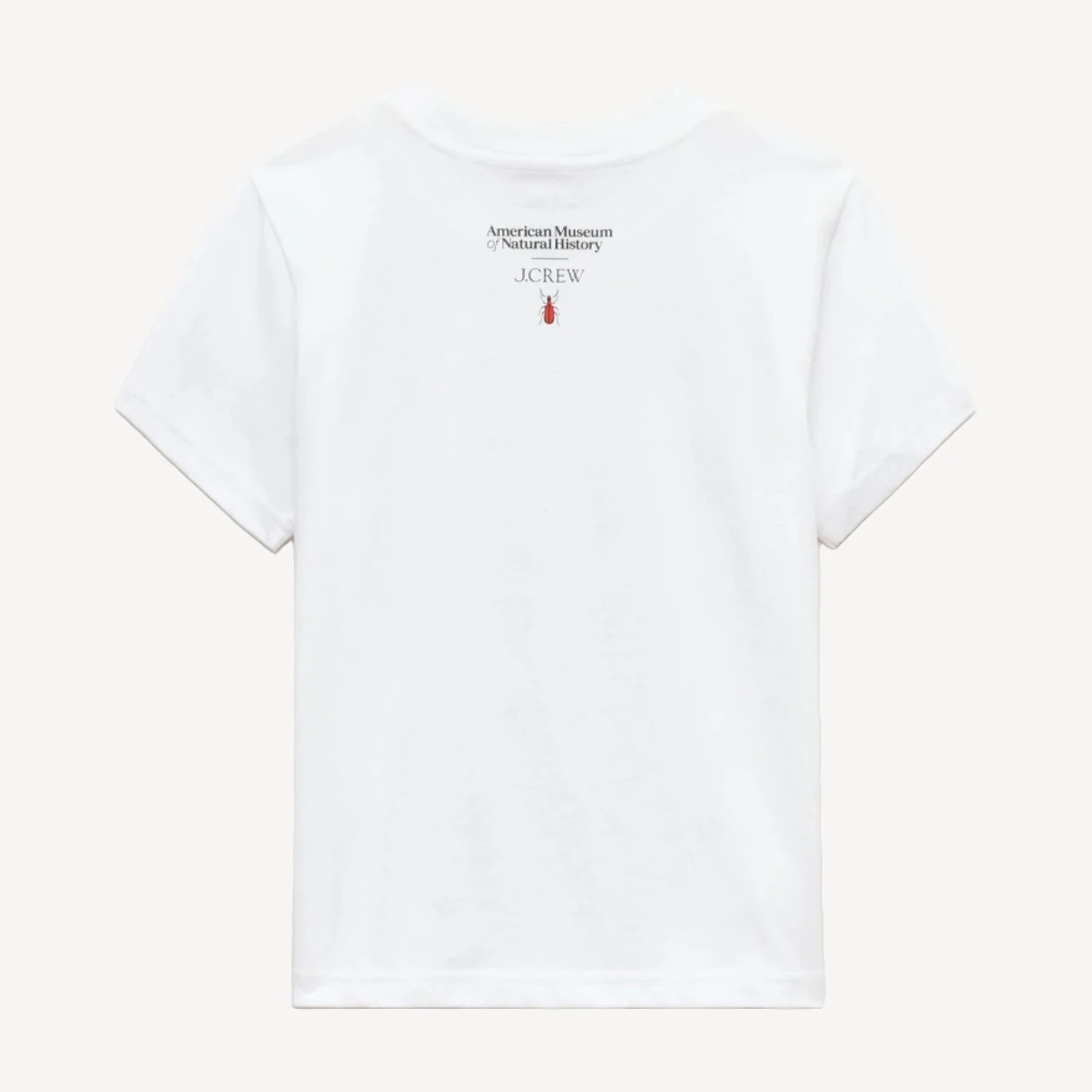 American Museum of Natural History for J.Crew kids' "don't bug me" graphic T-shirt