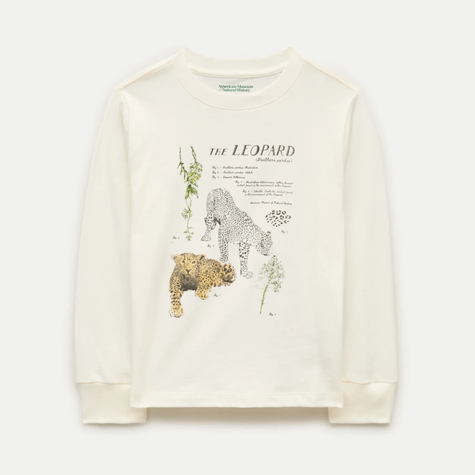 American Museum of Natural History for J.Crew kids' leopard graphic T-shirt
