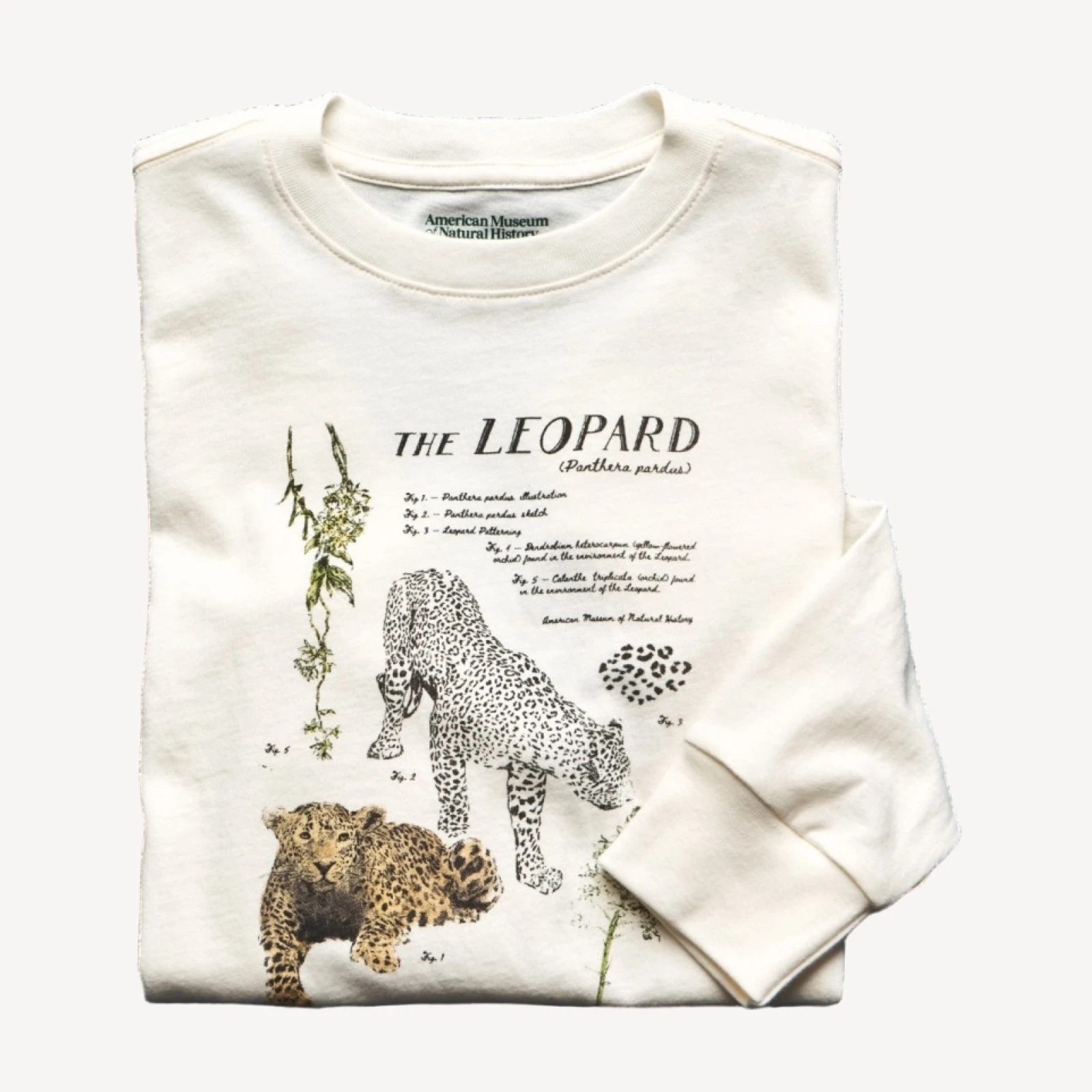 American Museum of Natural History for J.Crew kids' leopard graphic T-shirt