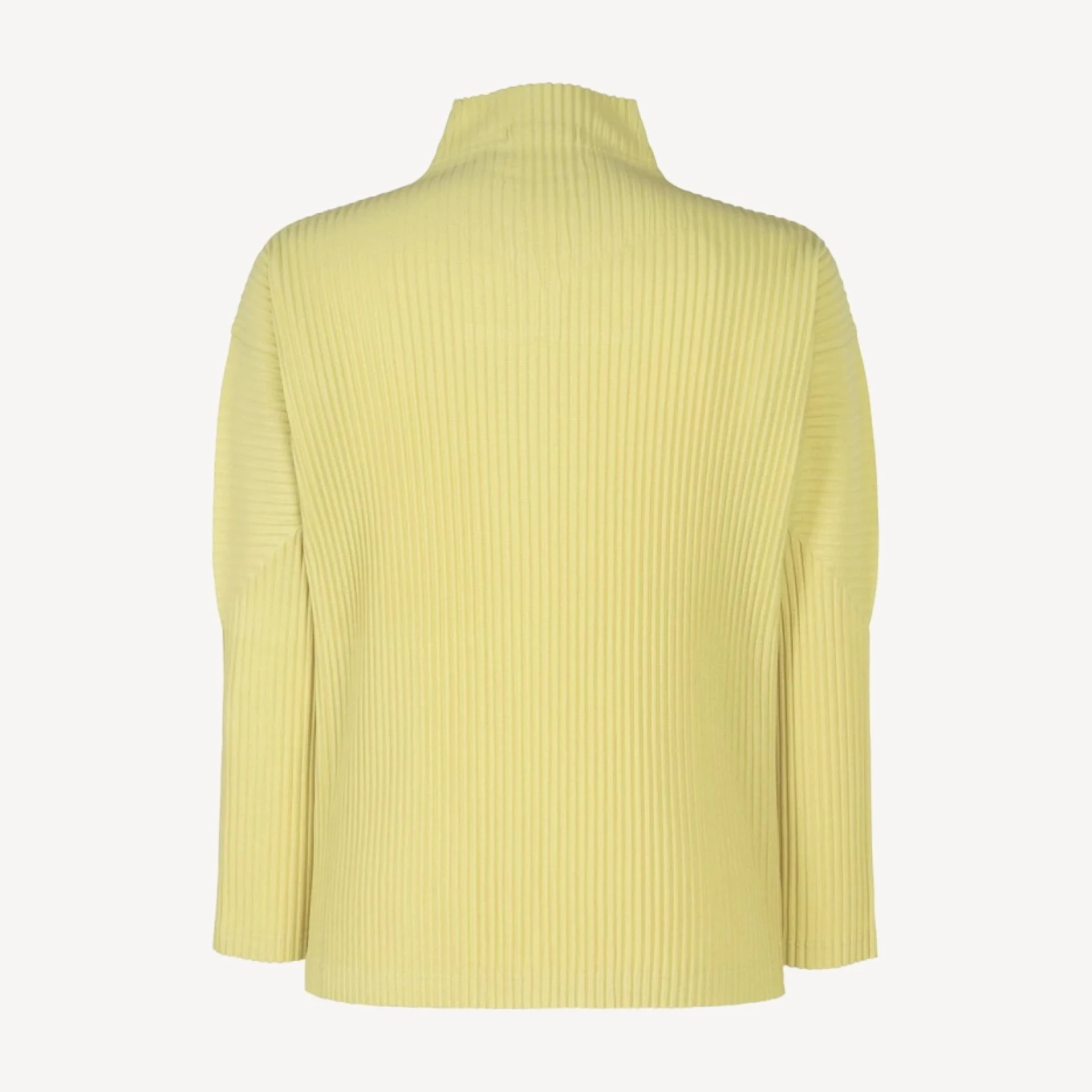 COLOR PLEATS 2