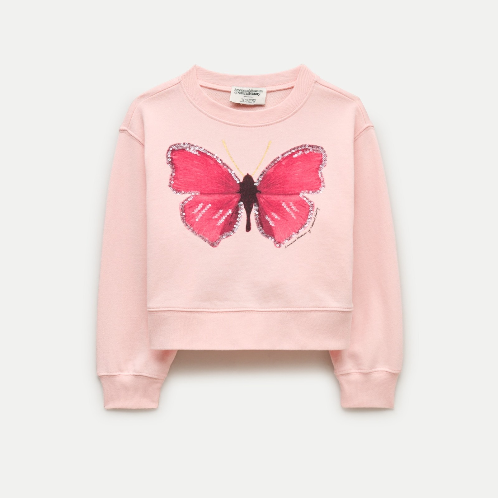American Museum of Natural History for J.Crew kids' butterfly graphic sweatshirt
