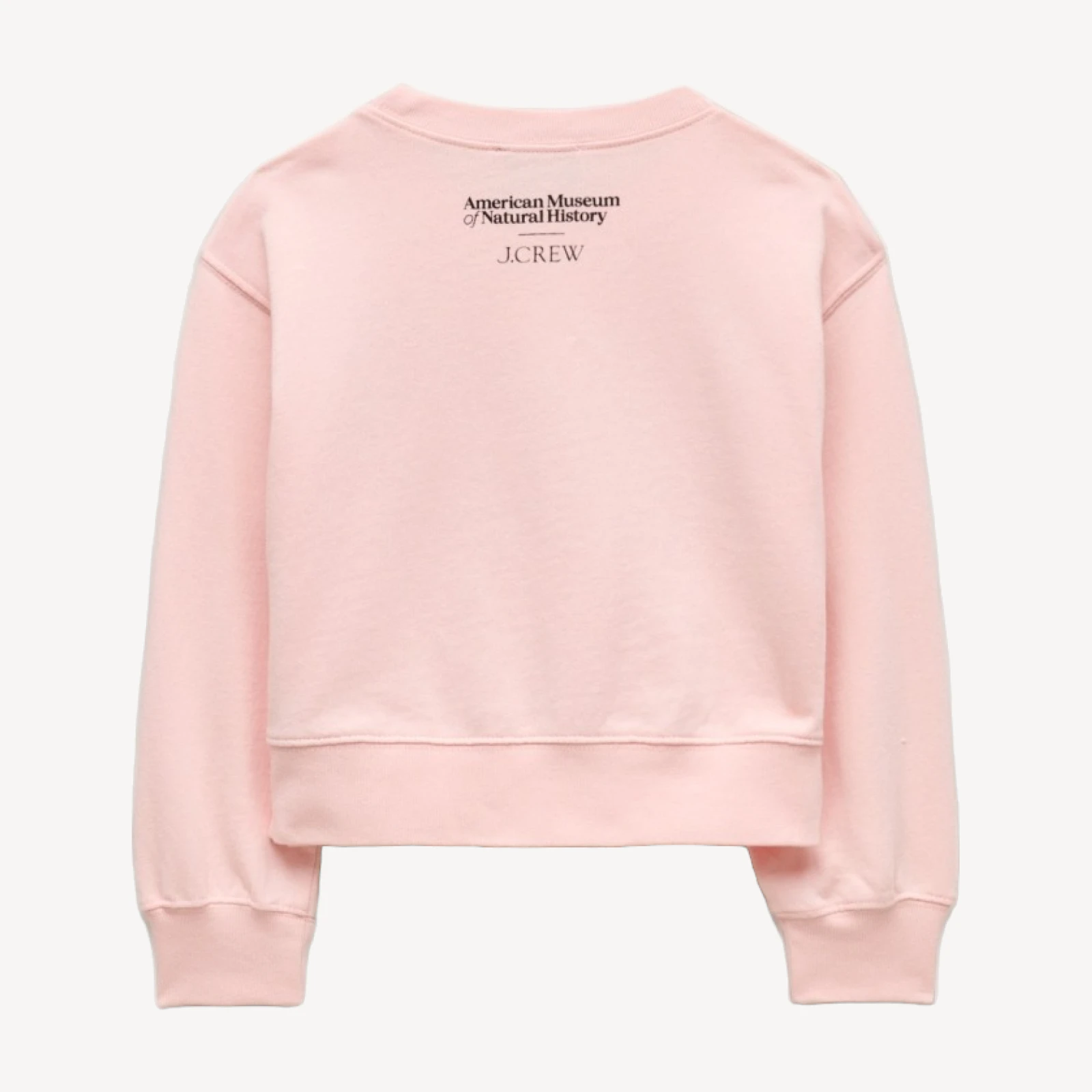 American Museum of Natural History for J.Crew kids' butterfly graphic sweatshirt