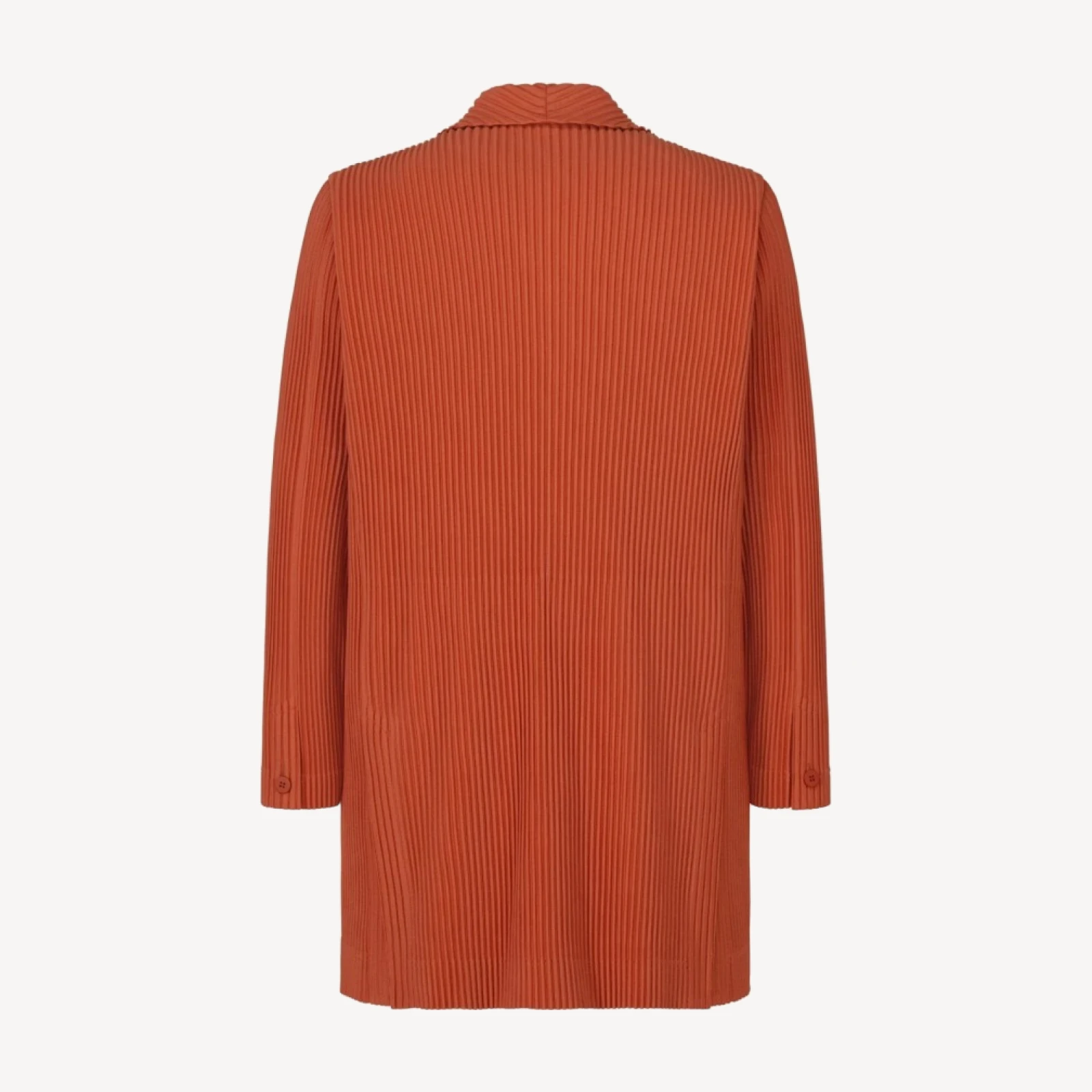TAILORED PLEATS 3
