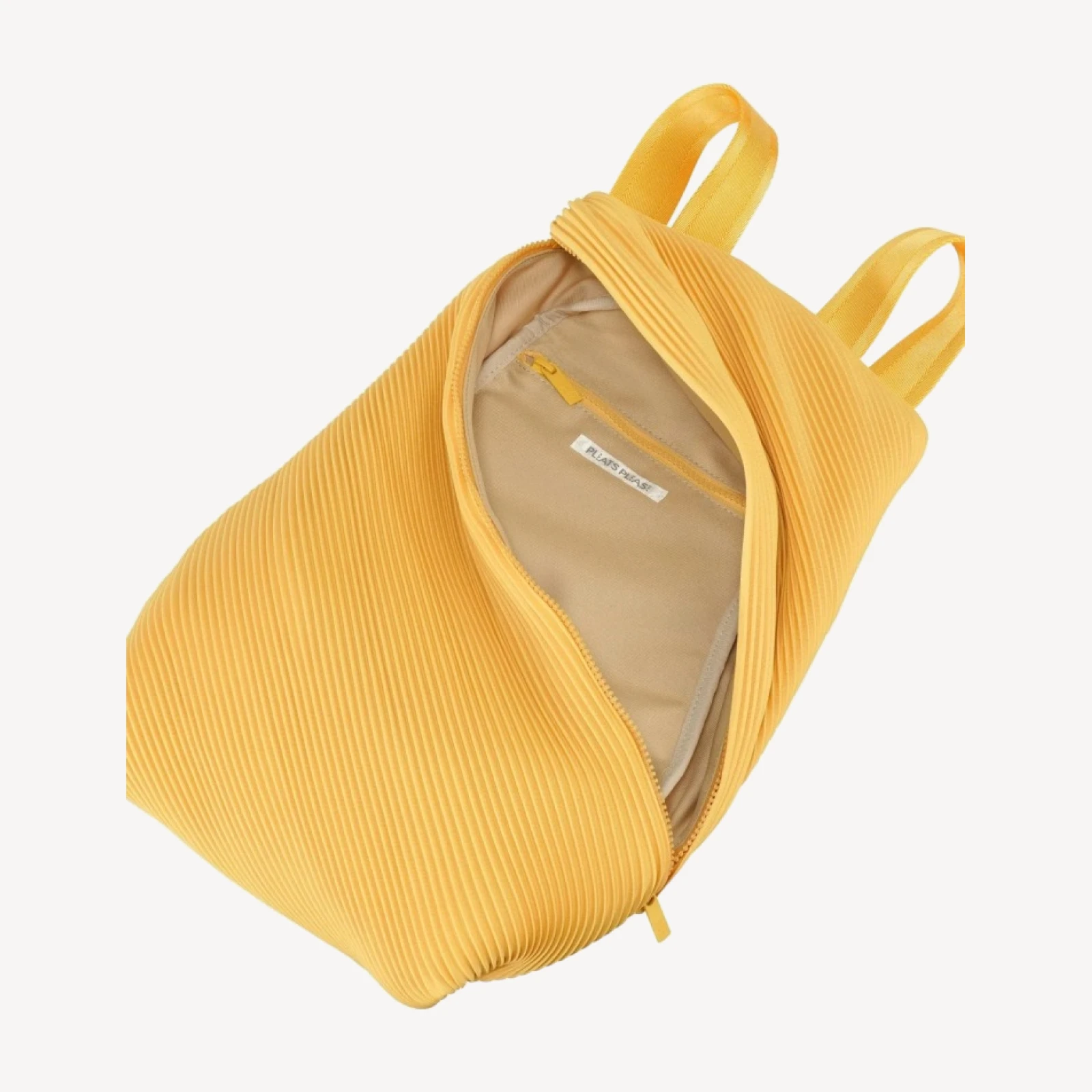 BIAS PLEATS BACKPACK