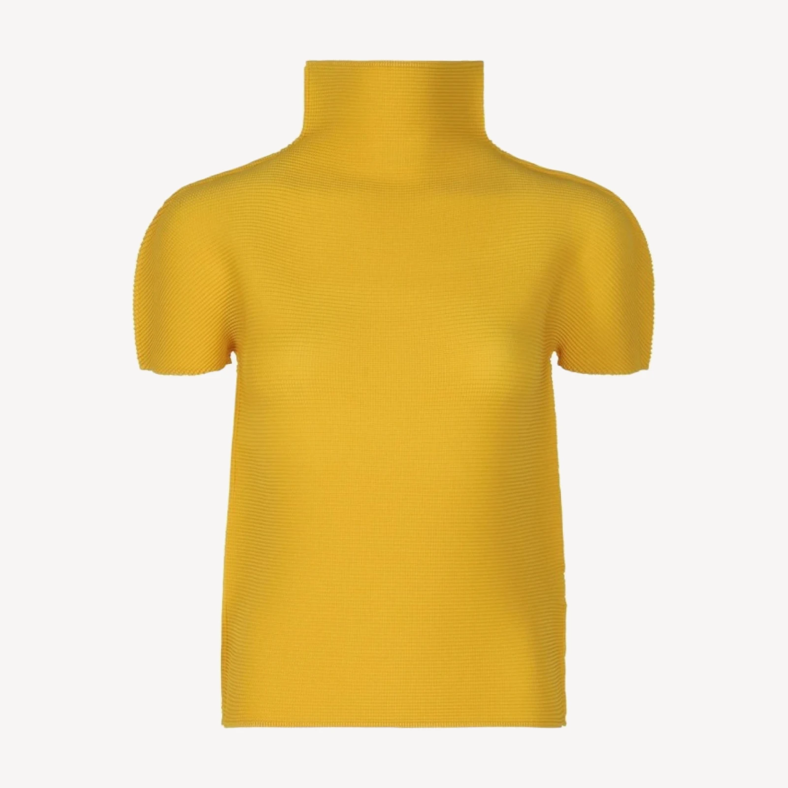 STRETCH PLEATS 6
