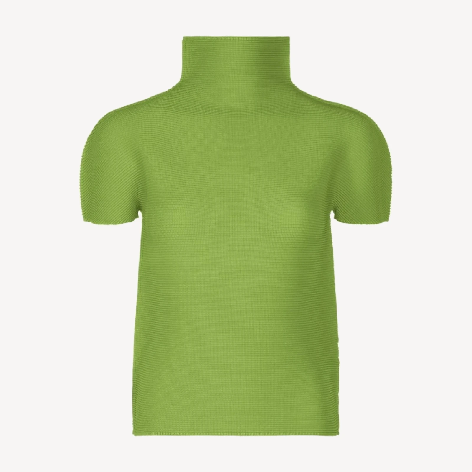 STRETCH PLEATS 6