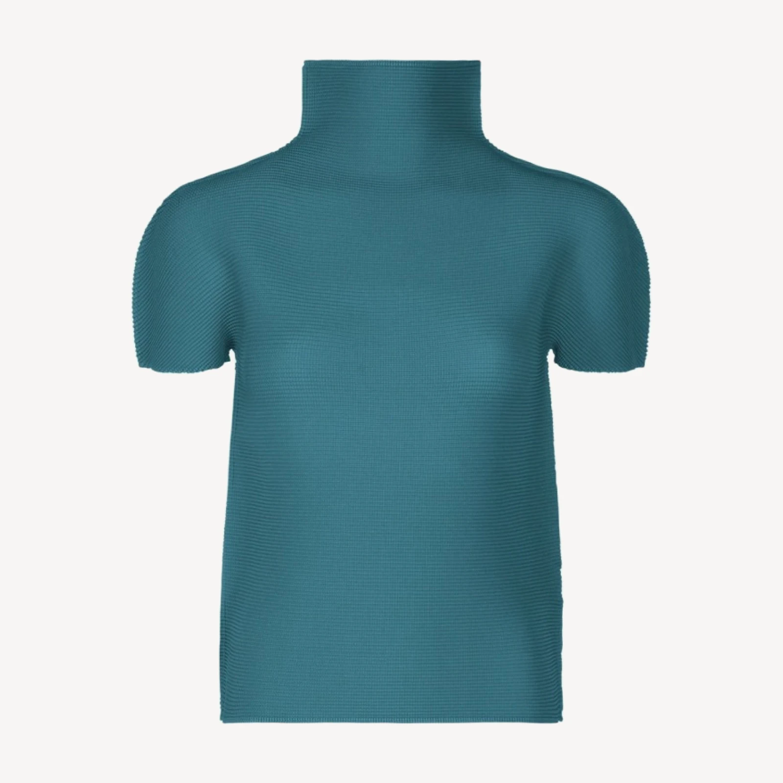 STRETCH PLEATS 6