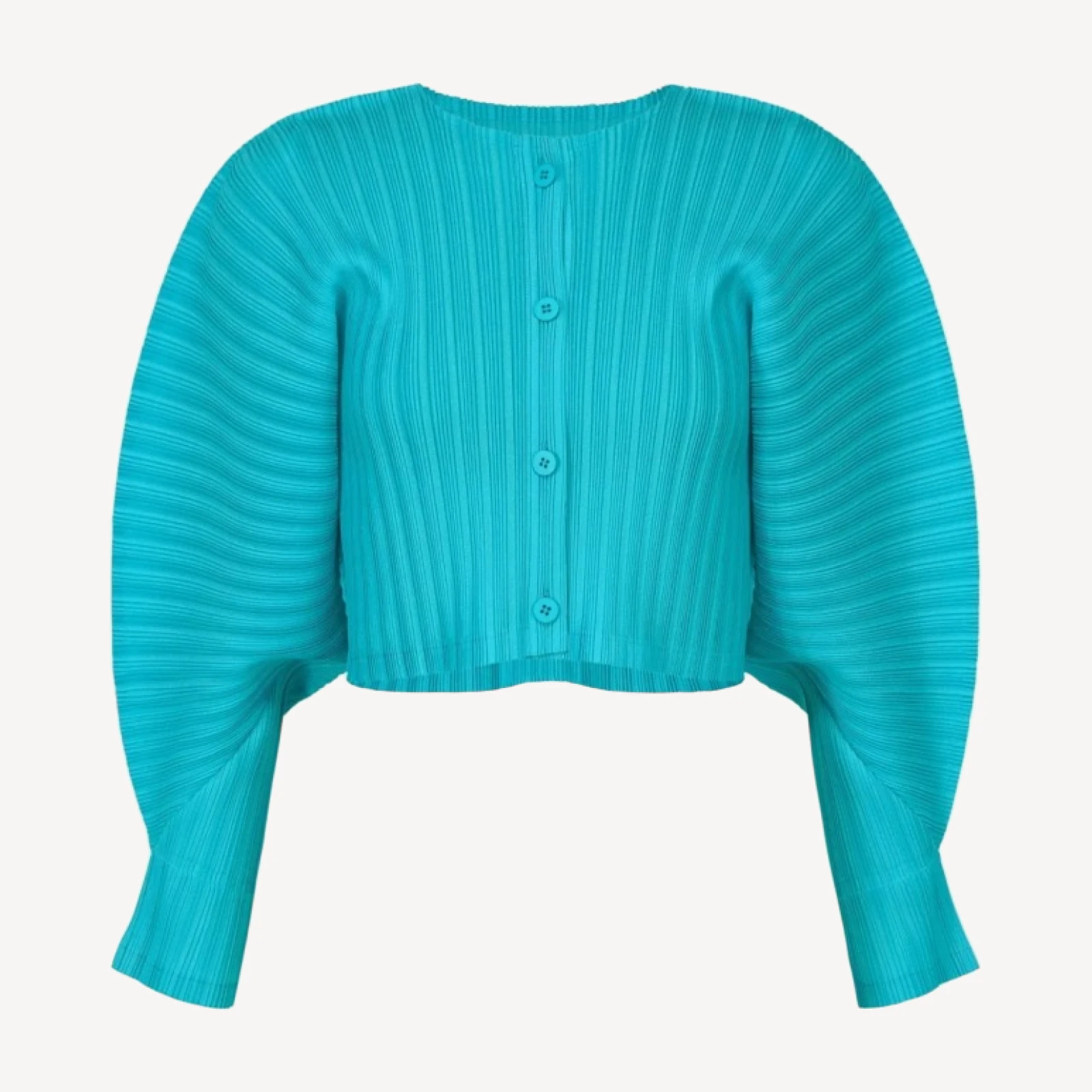 RIB PLEATS JANUARY