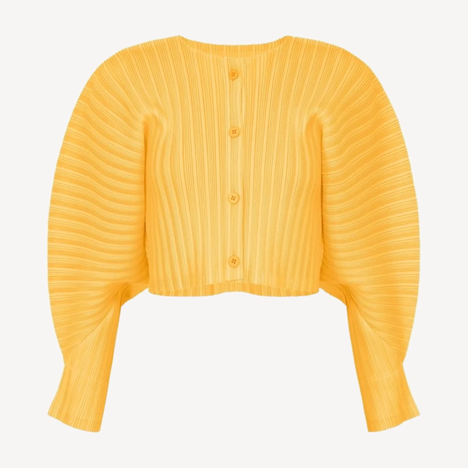 RIB PLEATS JANUARY