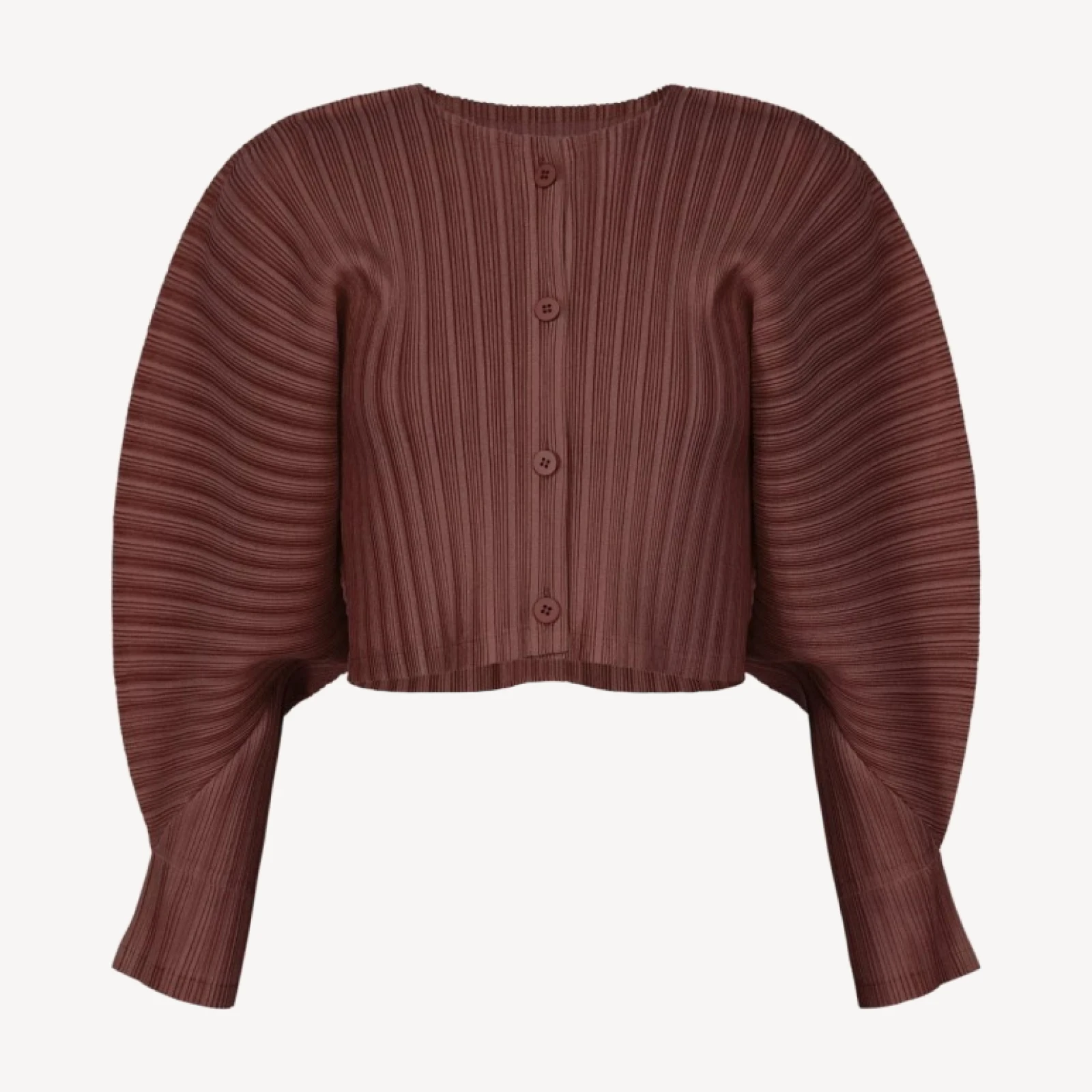 RIB PLEATS JANUARY