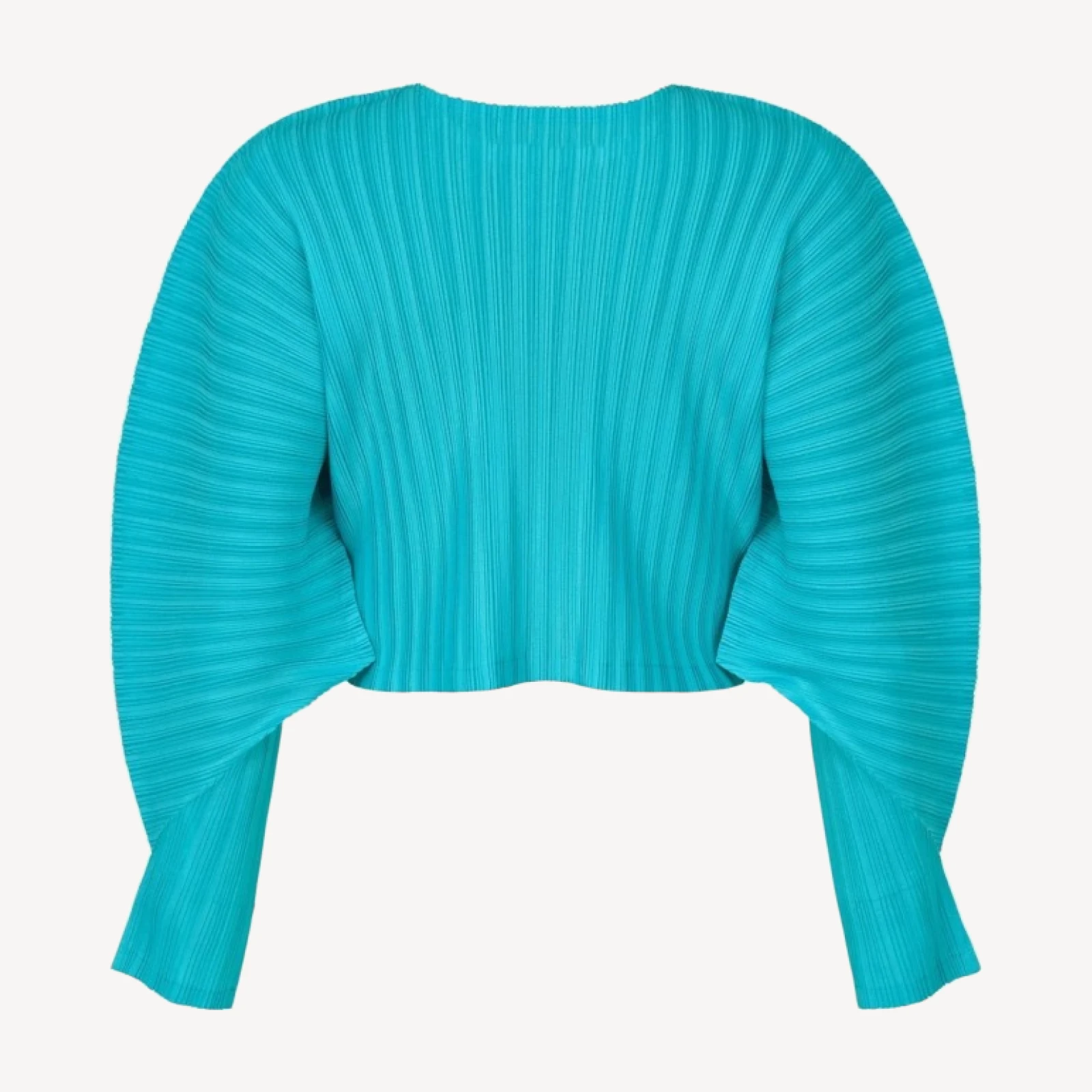 RIB PLEATS JANUARY
