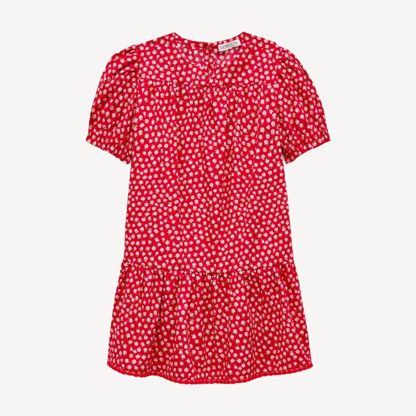 Girls' drop-waist dress in rosette floral