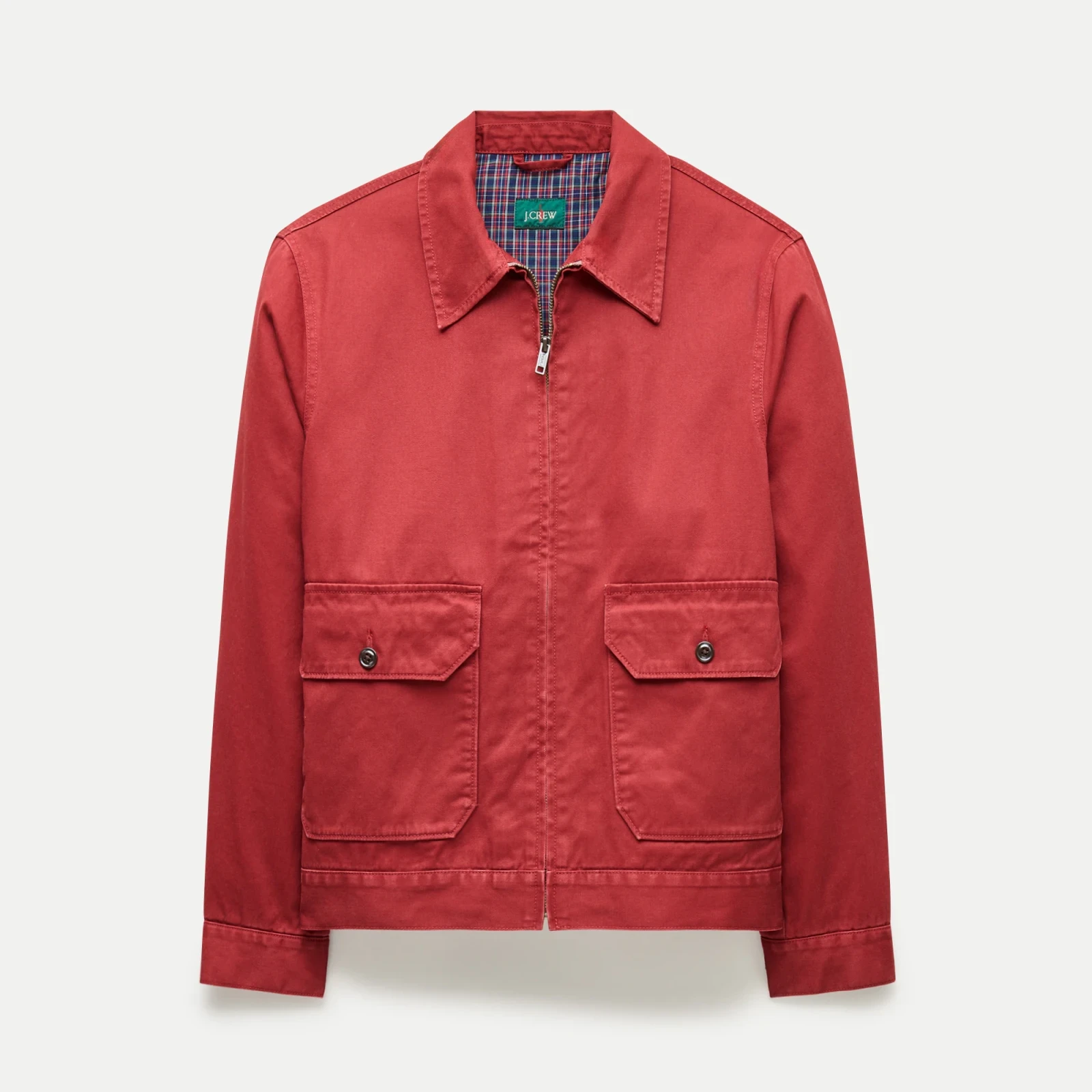 Studio jacket in cotton