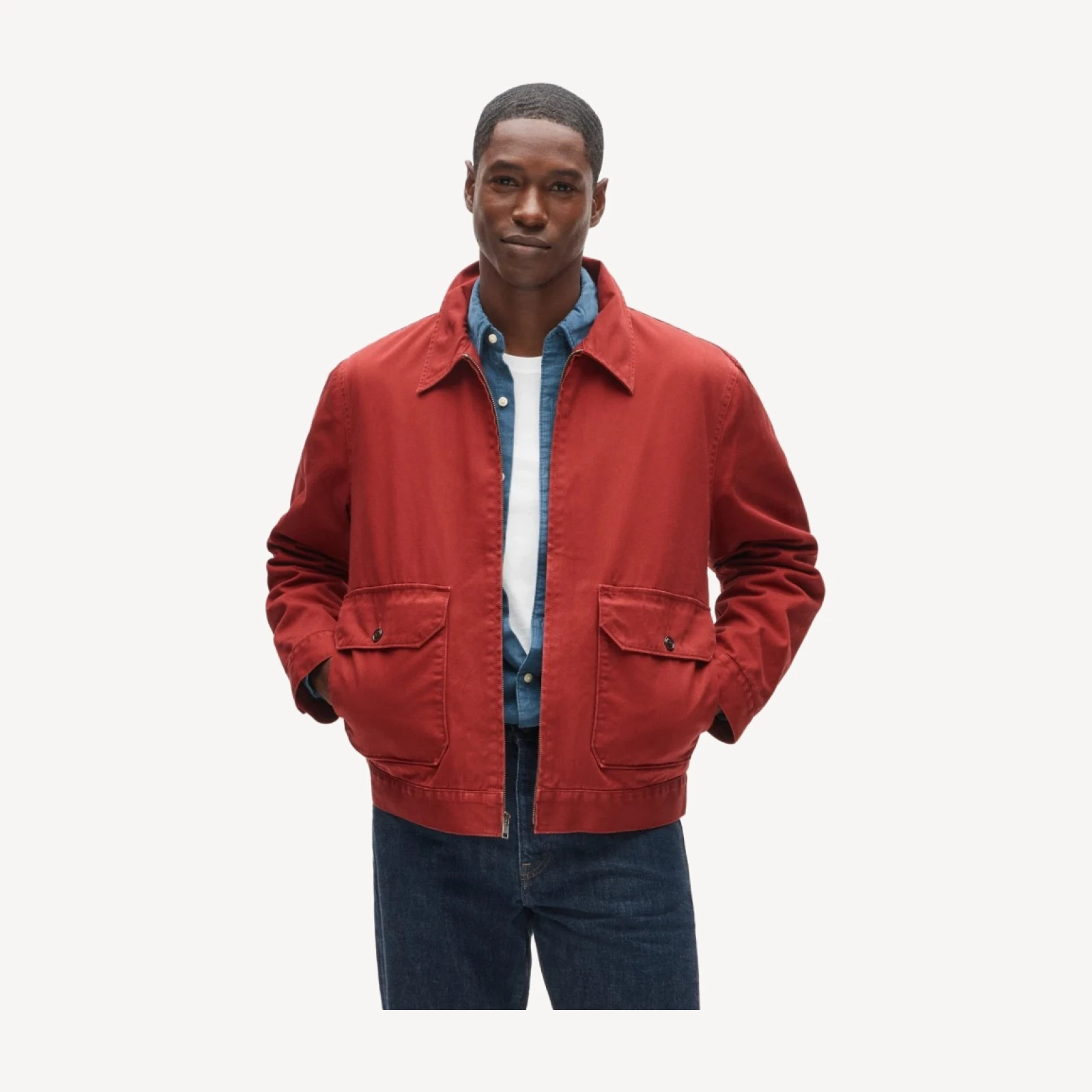 Studio jacket in cotton