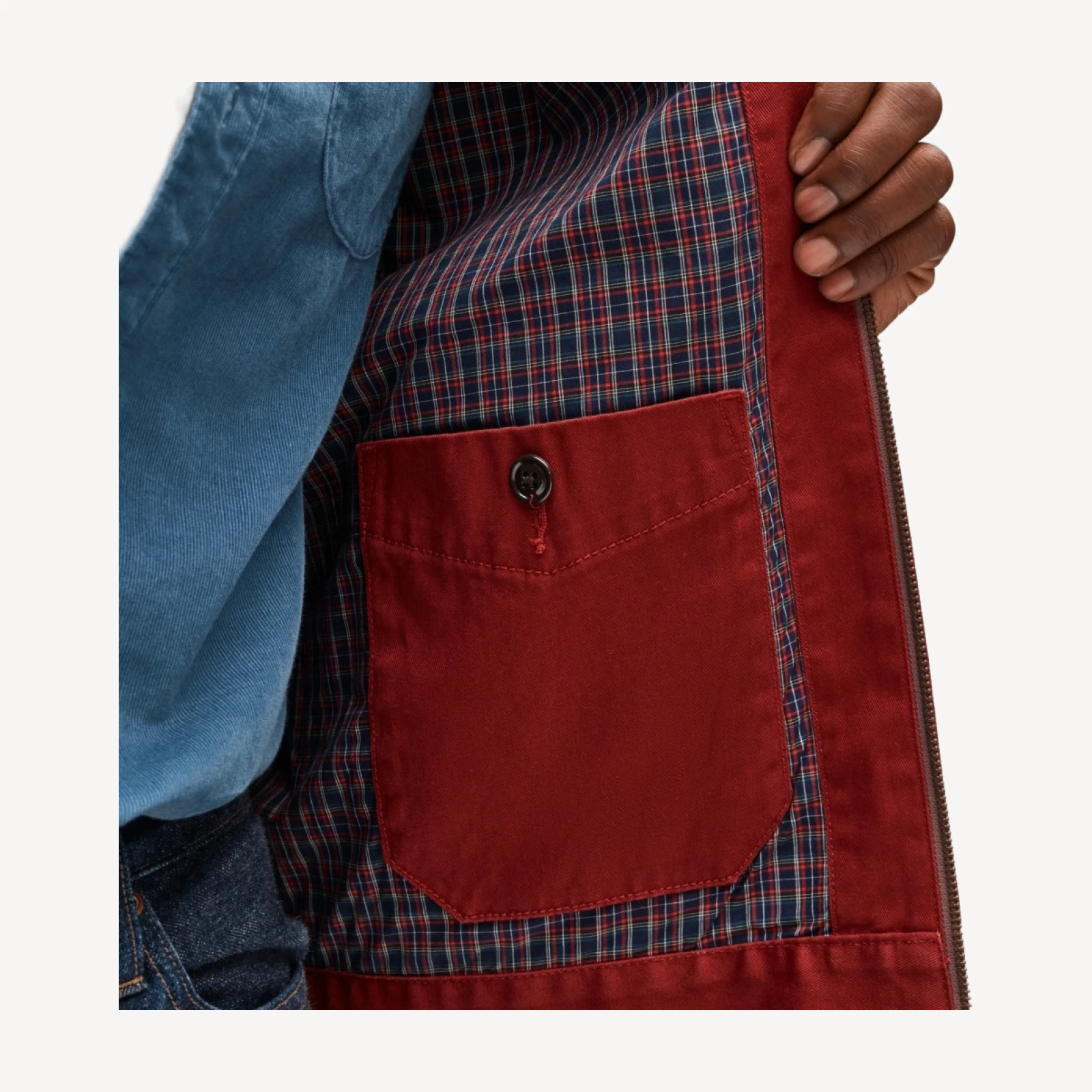 Studio jacket in cotton