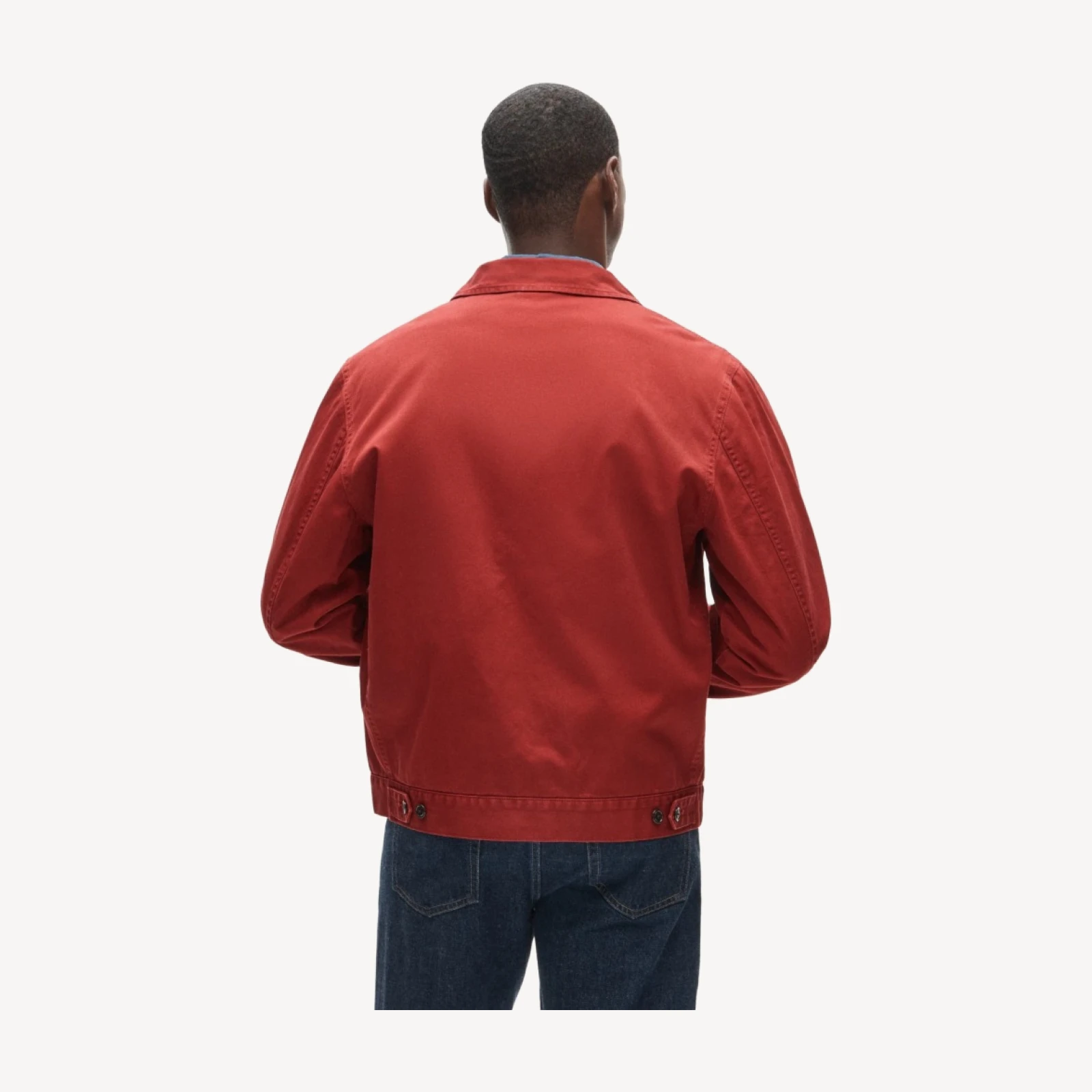 Studio jacket in cotton
