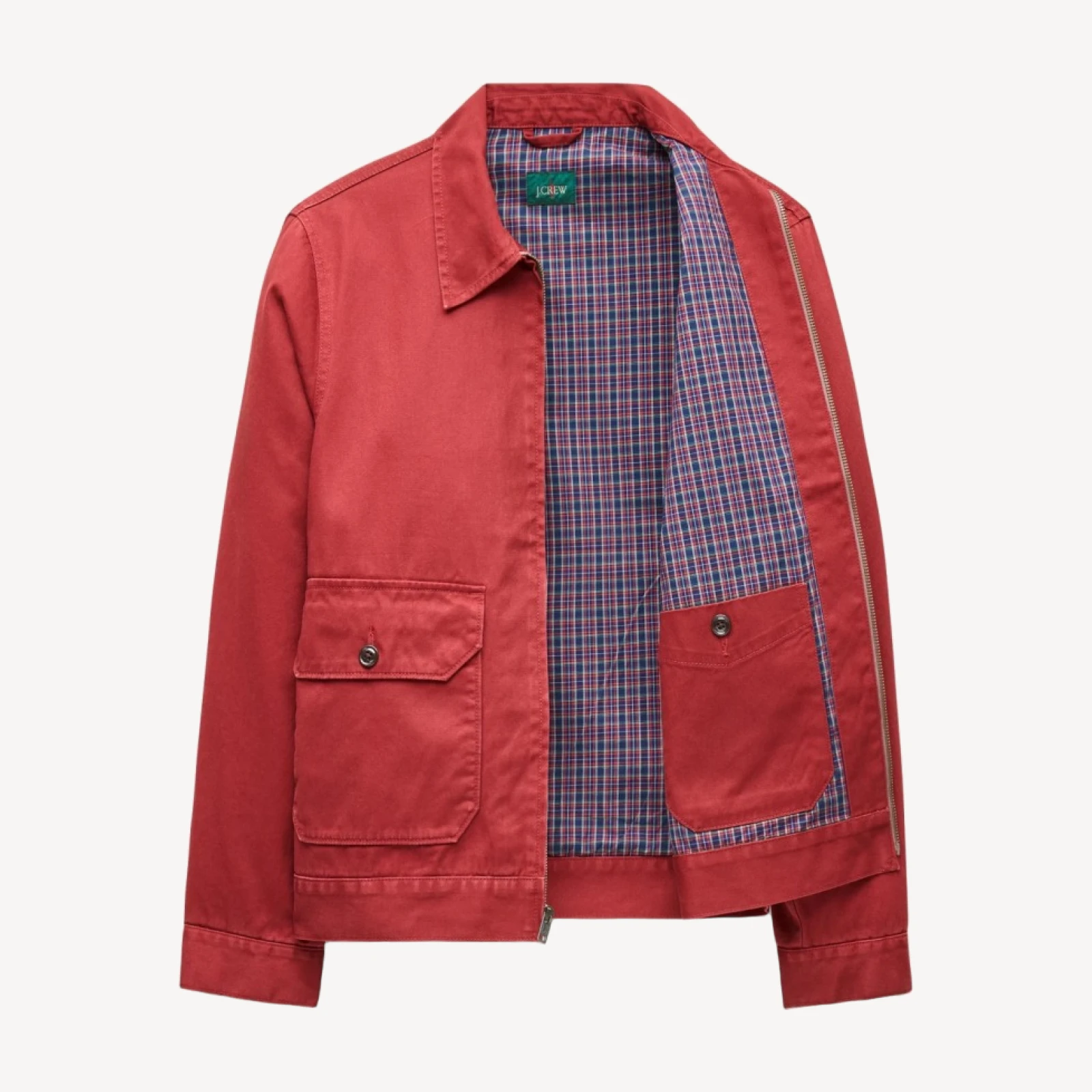 Studio jacket in cotton