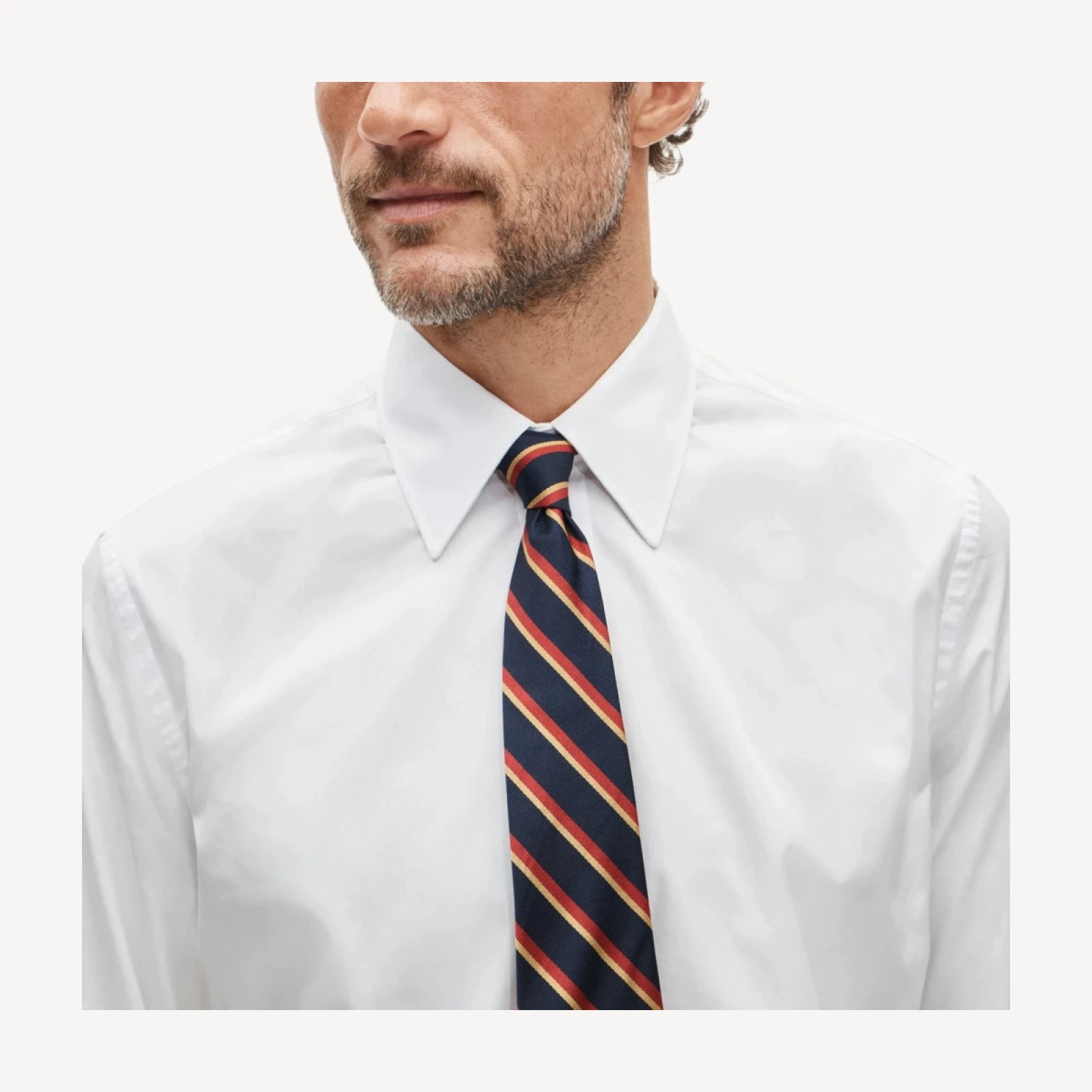 Ludlow Premium cotton oxford dress shirt