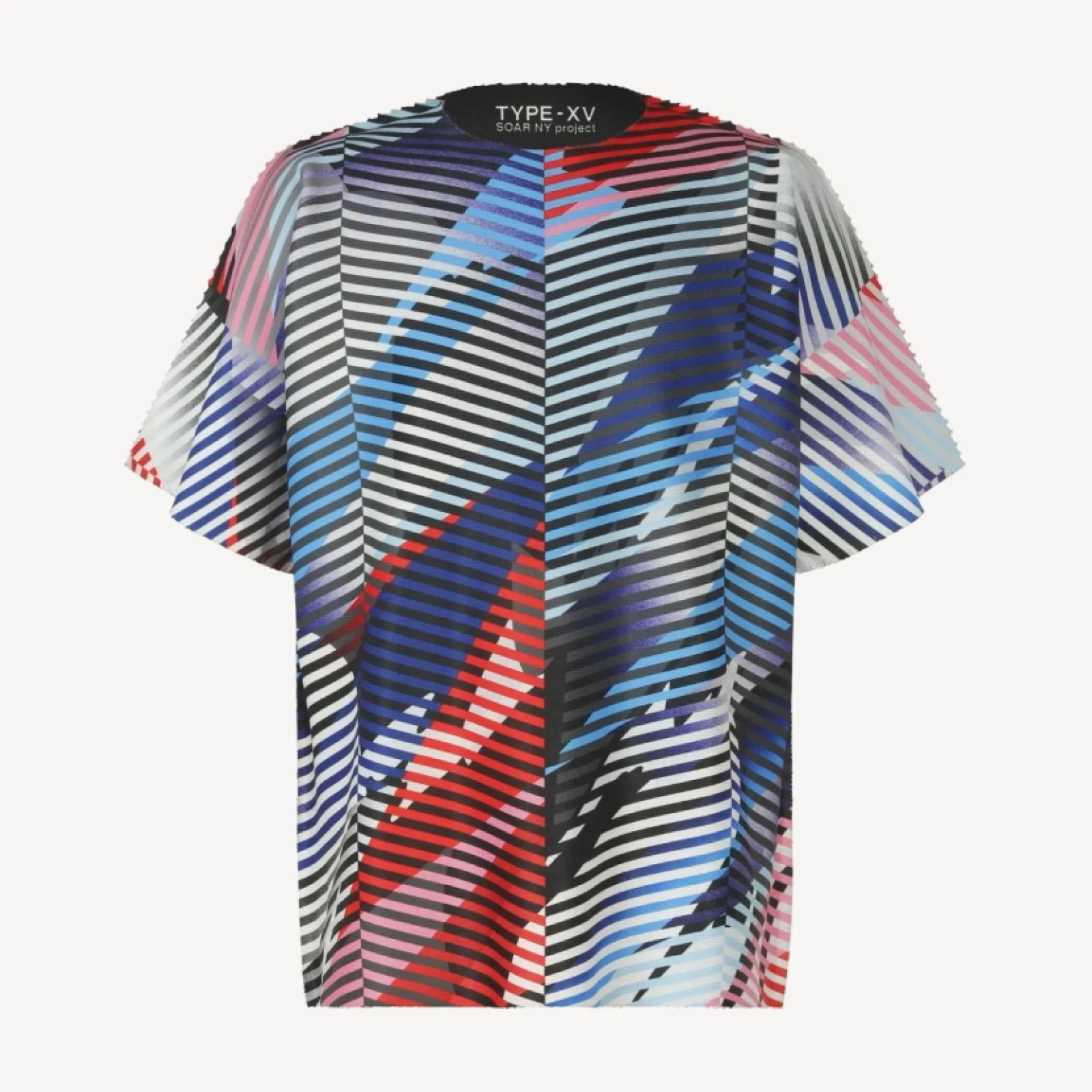 TYPE-XV SOAR NY project 003