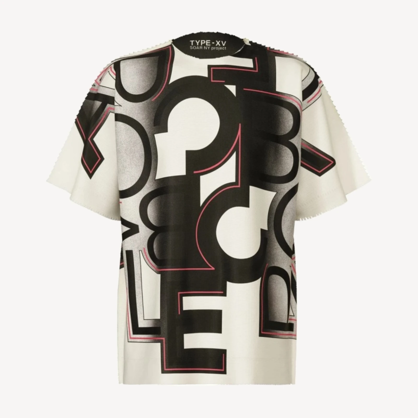 TYPE-XV SOAR NY project 002