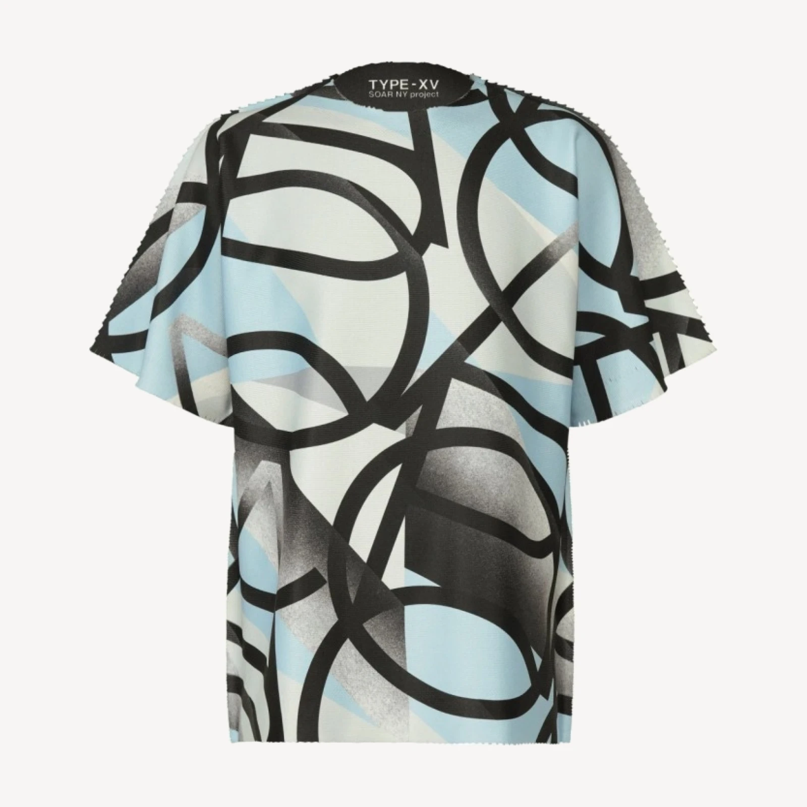 TYPE-XV SOAR NY project 002