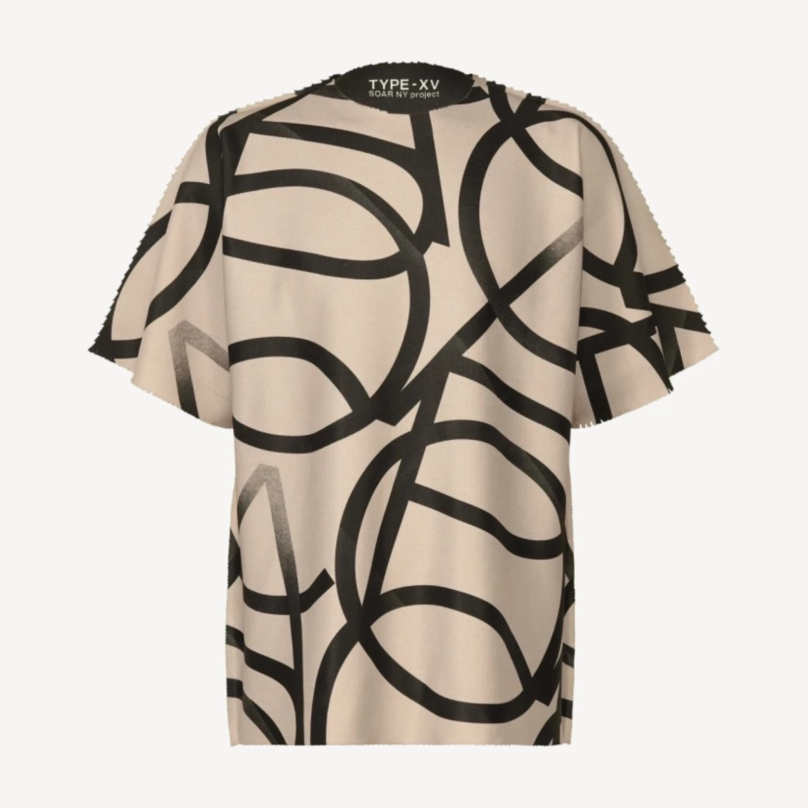 TYPE-XV SOAR NY project 002
