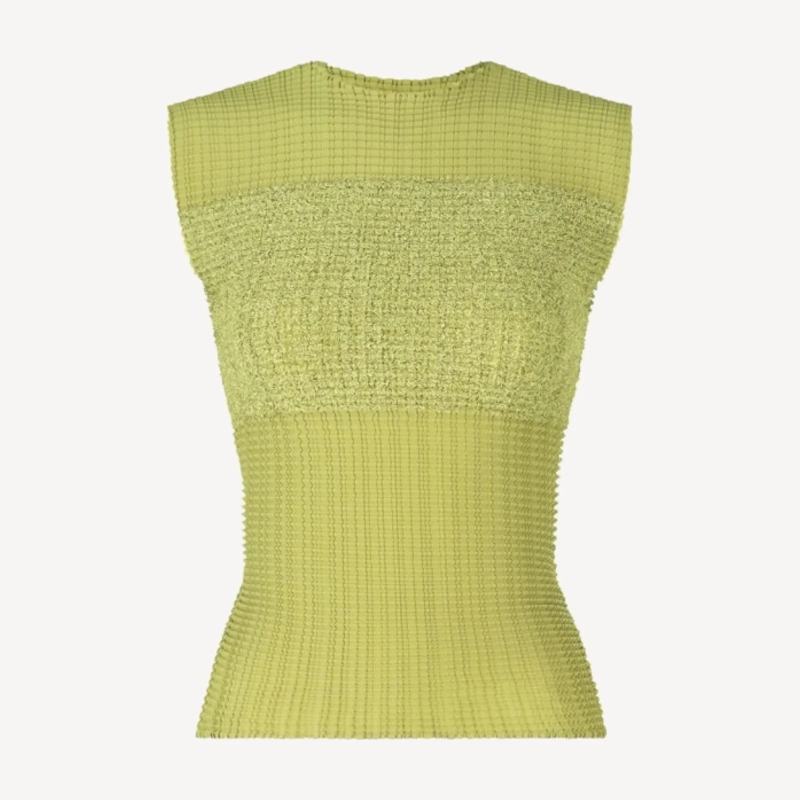 SHEER FUZZY PLEATS
