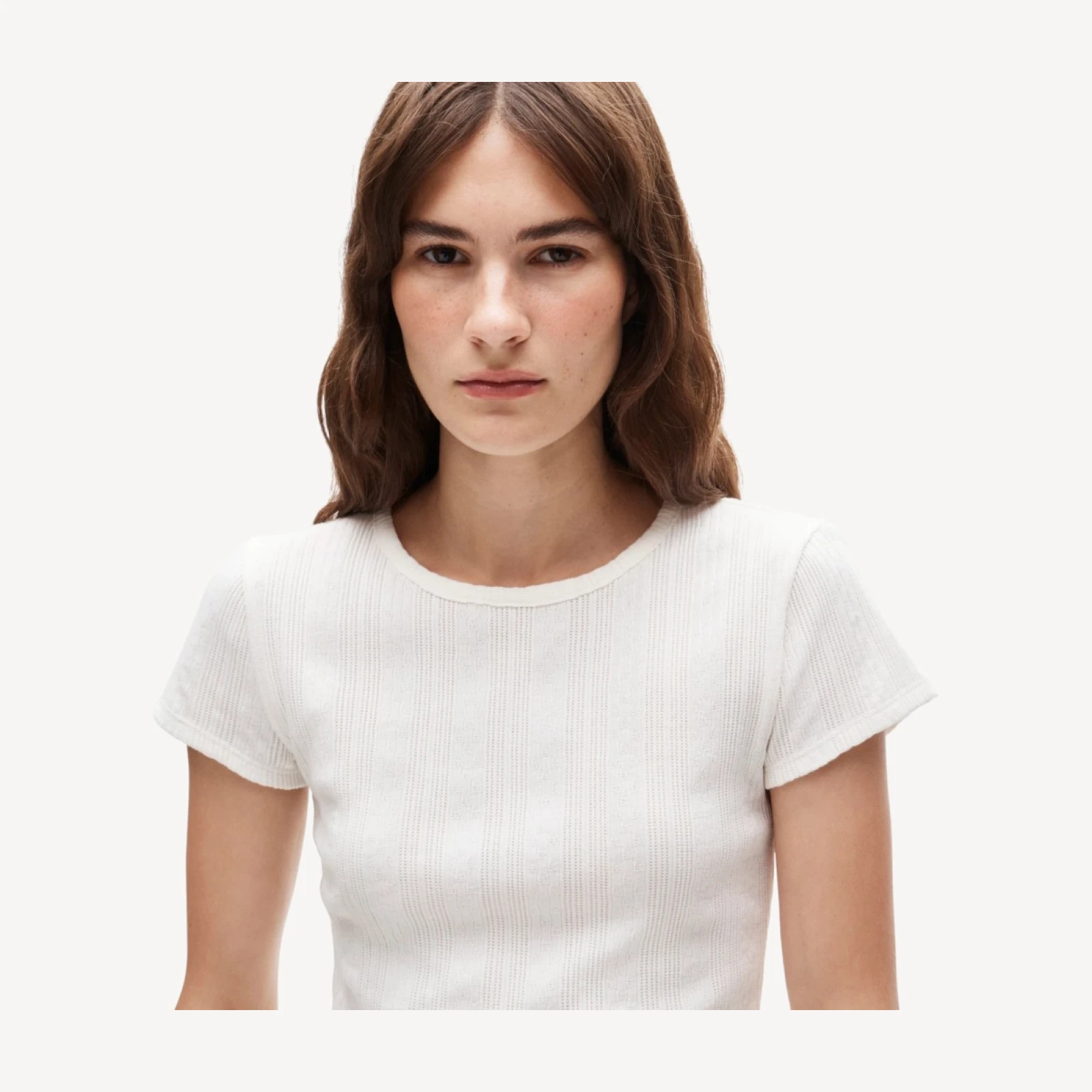 Pointelle crewneck T-shirt