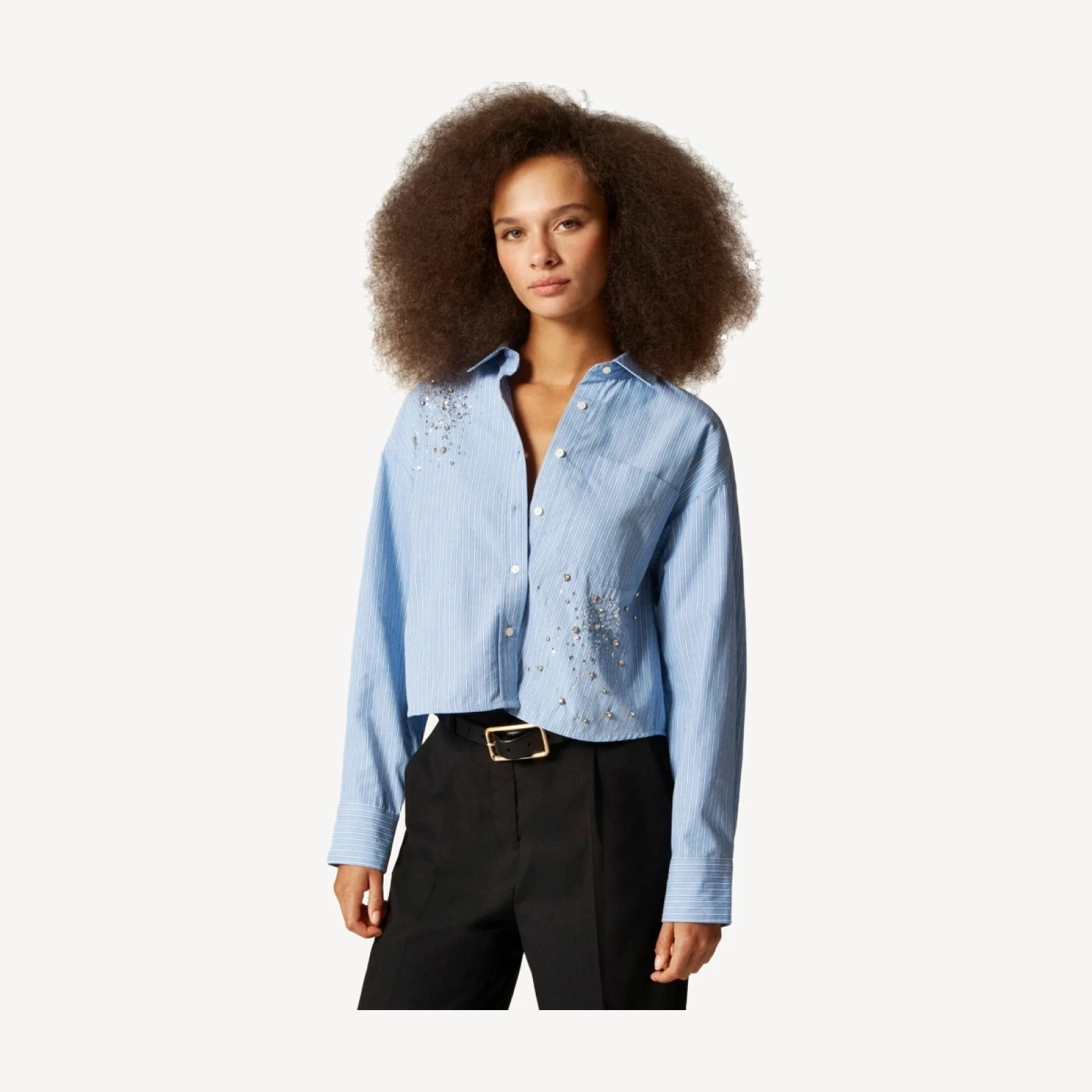 Étienne cropped button-up shirt with embellishments in stripe