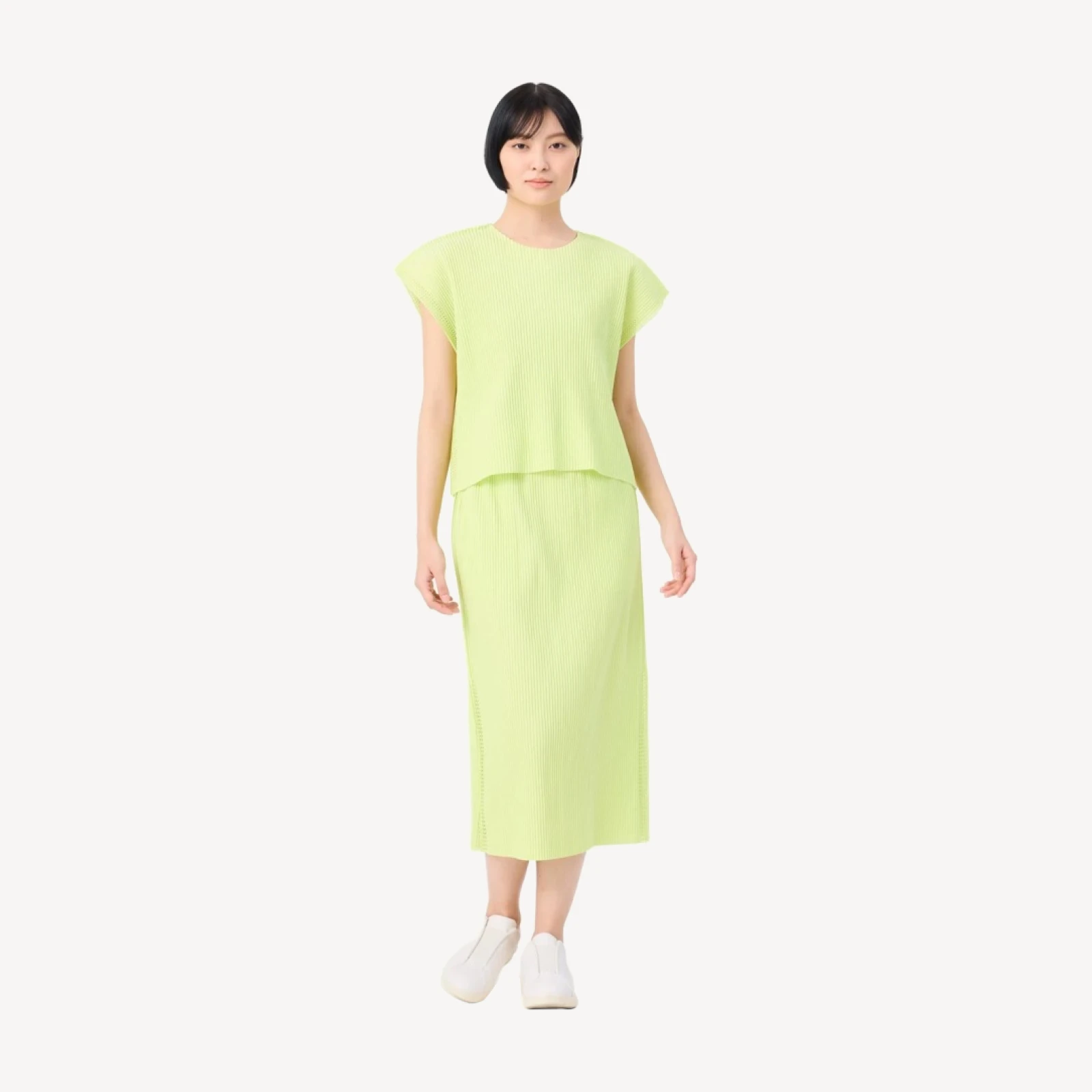 MESH PLEATS